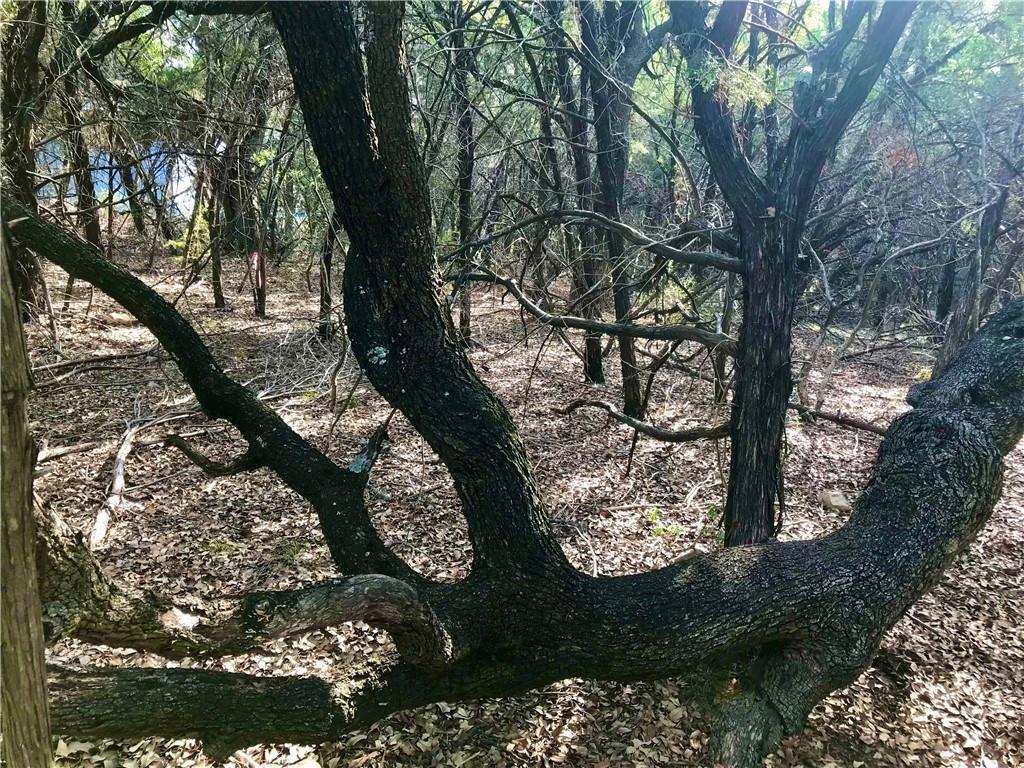 8126 Chantilly Trl, Leander, TX 78645