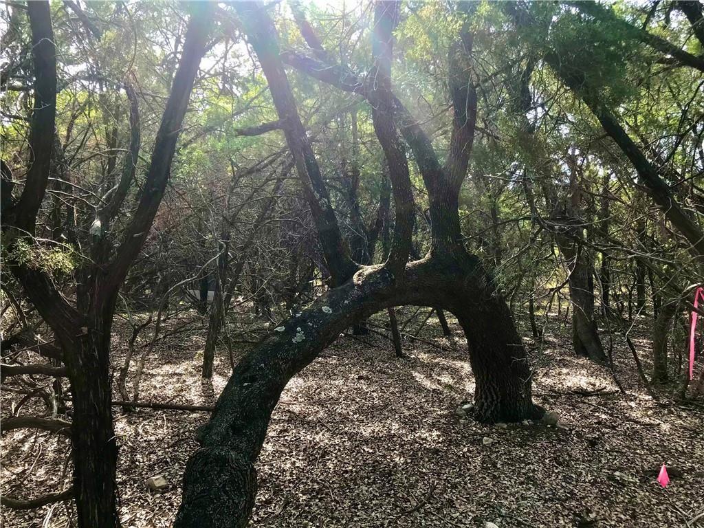 8126 Chantilly Trl, Leander, TX 78645