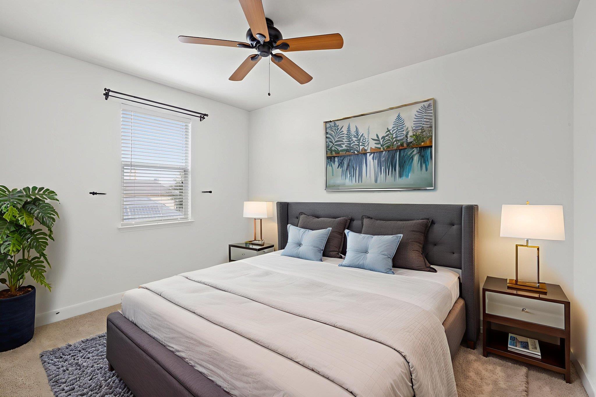 221 McGarity St, Kyle, TX 78640