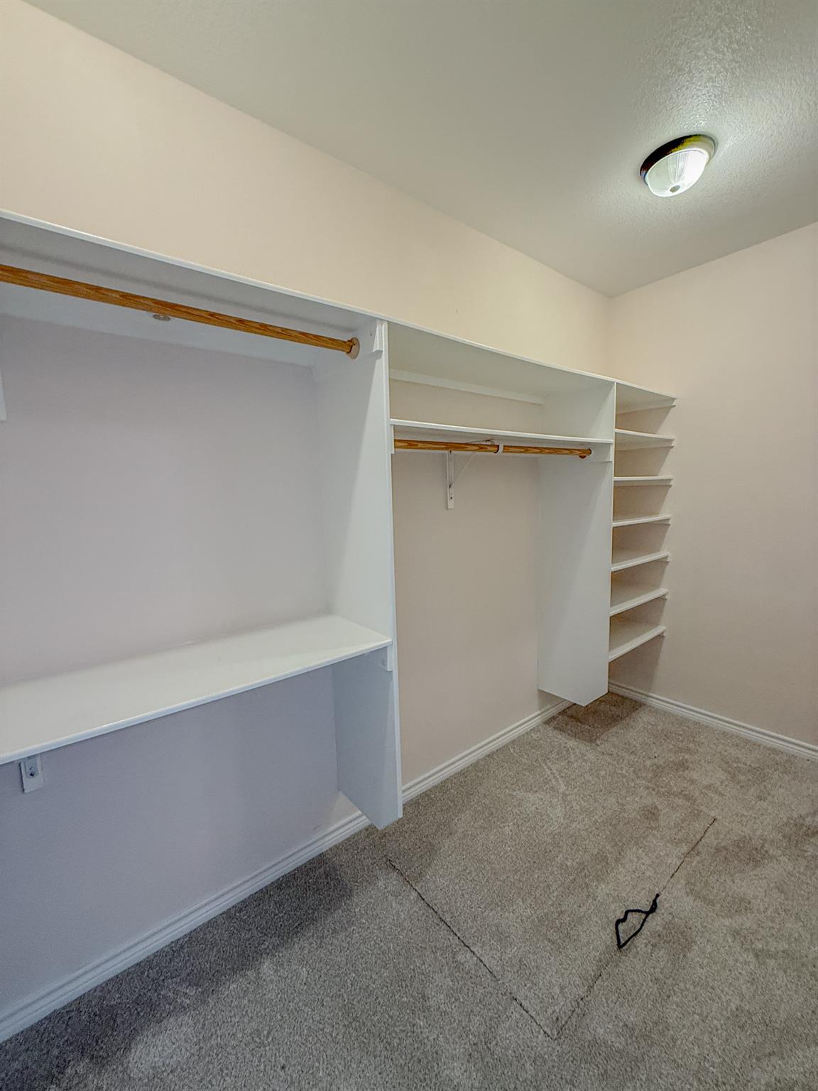 300 Western Sky Trl, Jarrell, TX 76537