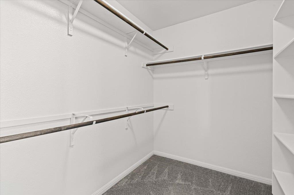 6313 Mary Lewis Dr, Austin, TX 78747