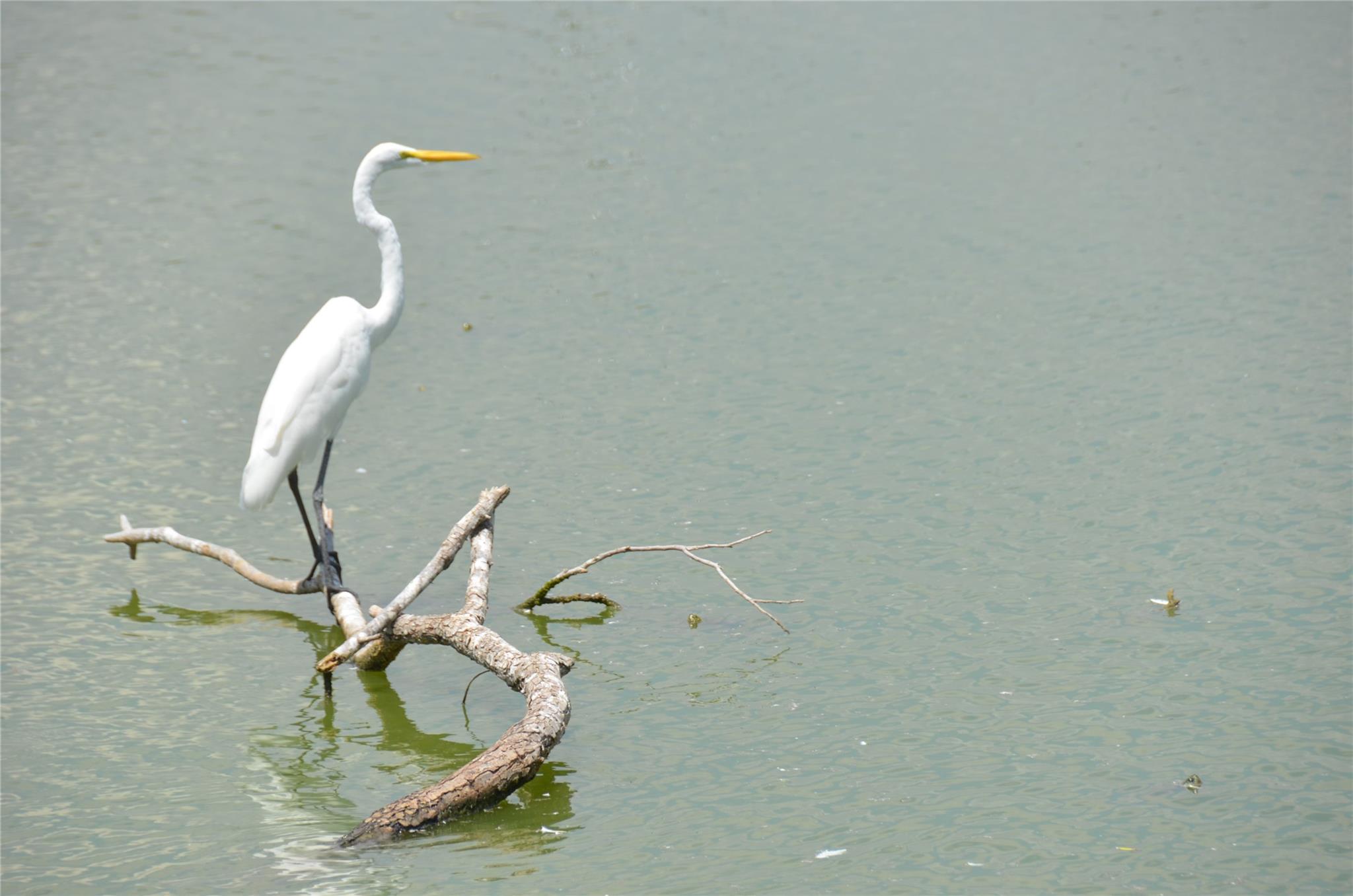 1209 Vance St # 12, Taylor, TX 76574