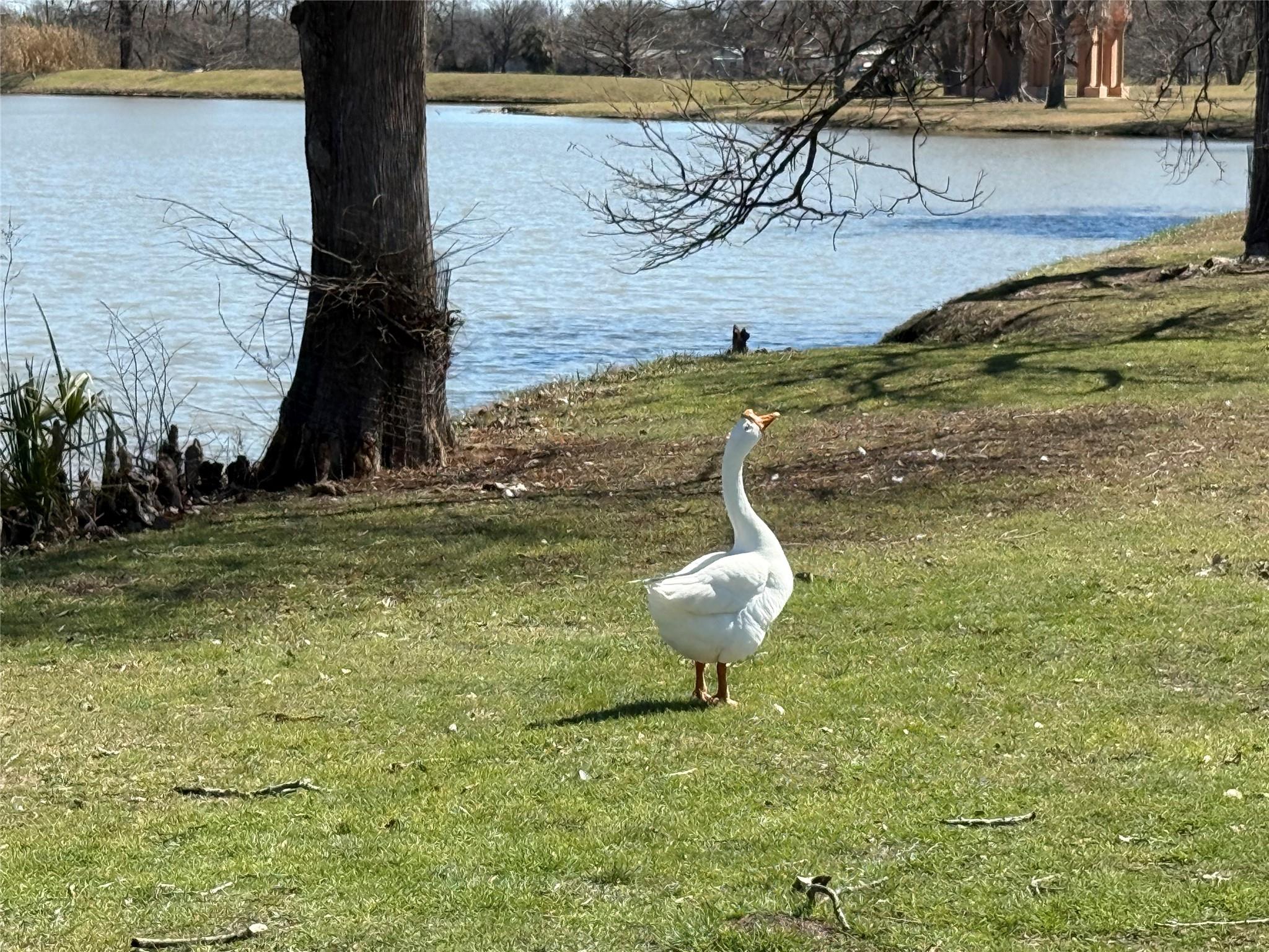 1209 Vance St # 12, Taylor, TX 76574