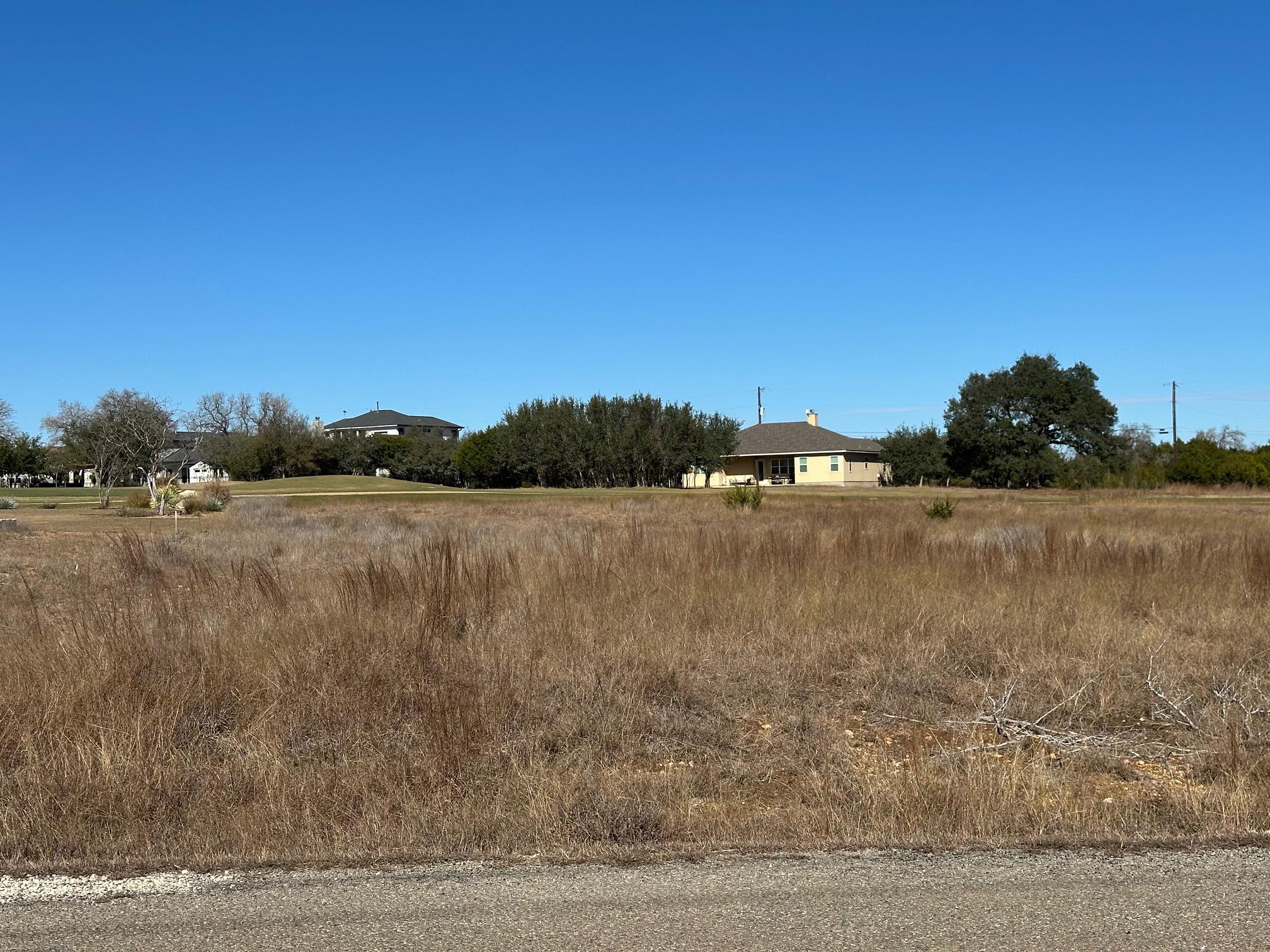 117 Warren Wallace, Blanco, TX 78606