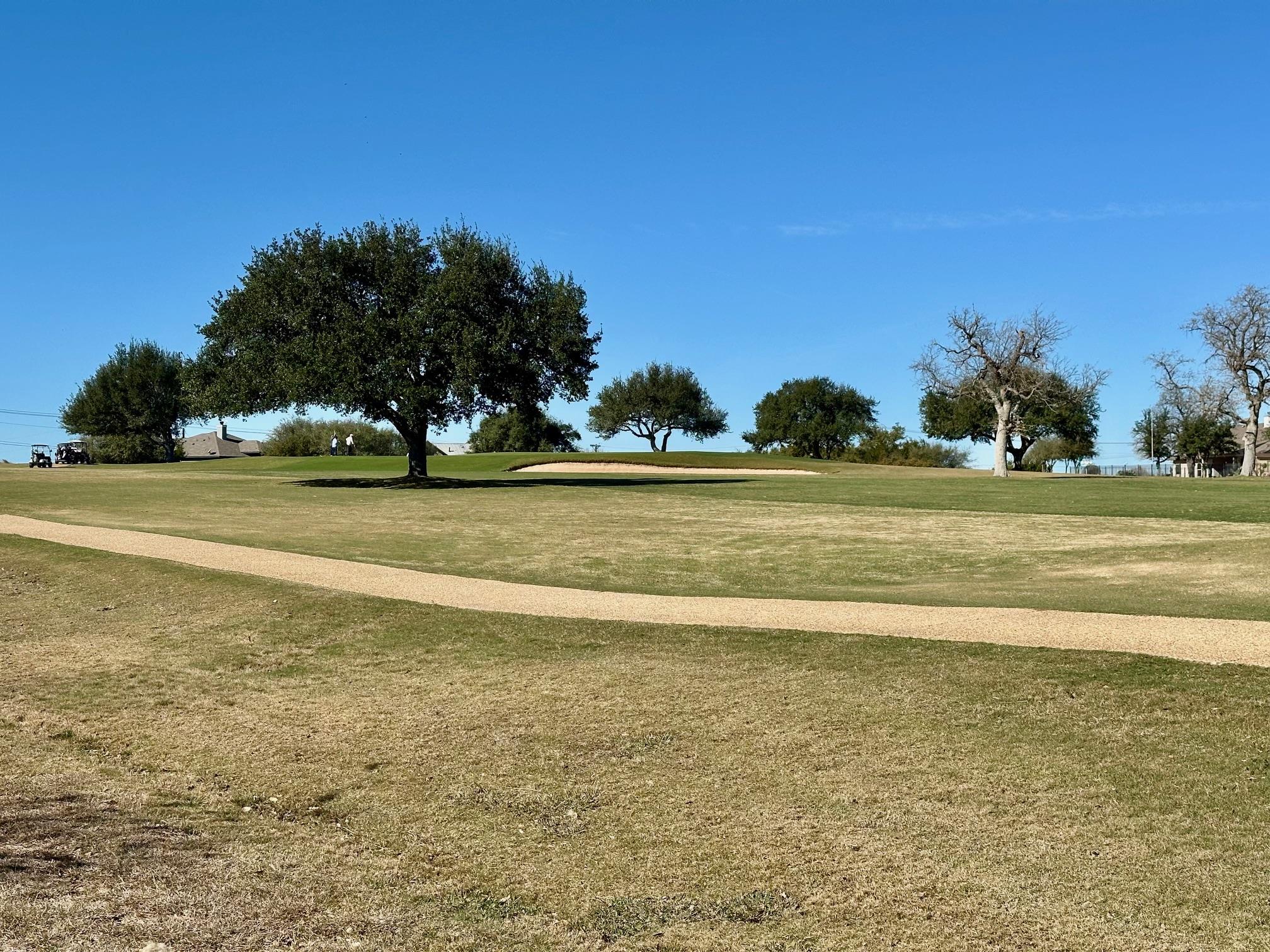 117 Warren Wallace, Blanco, TX 78606