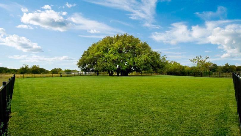 149 Proclamation Ave, Liberty Hill, TX 78642