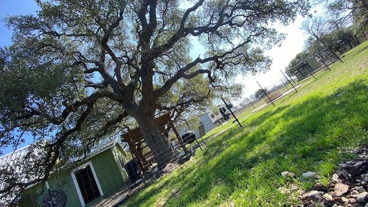 1115 County Road 220, Florence, TX 76527