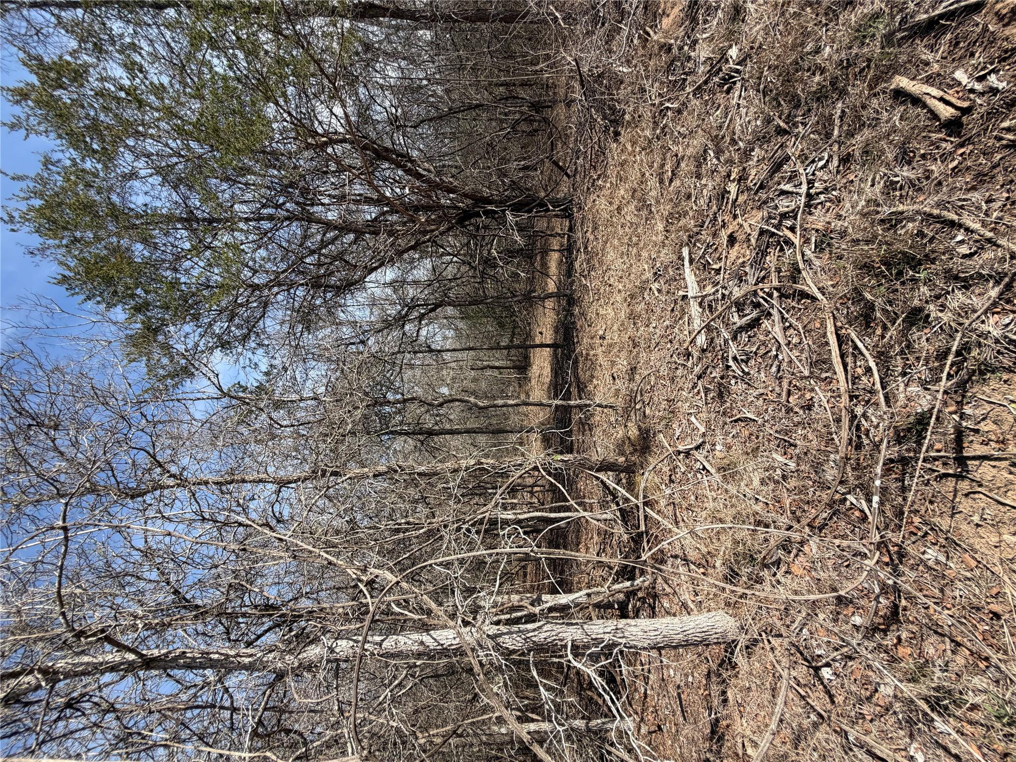 Lots 1006 and 1007 Diamond Head Dr, Bastrop, TX 78602