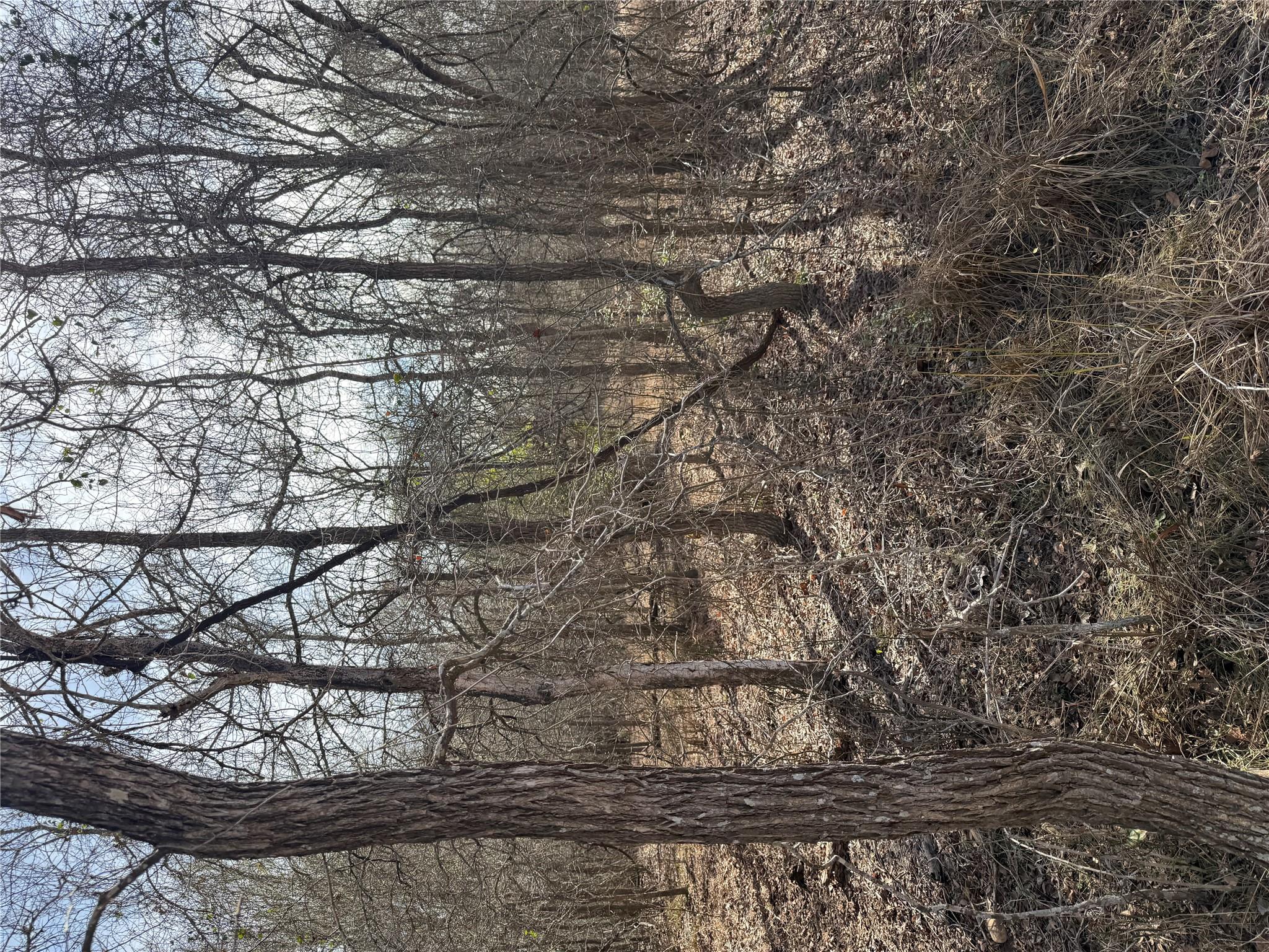 Lots 1006 and 1007 Diamond Head Dr, Bastrop, TX 78602