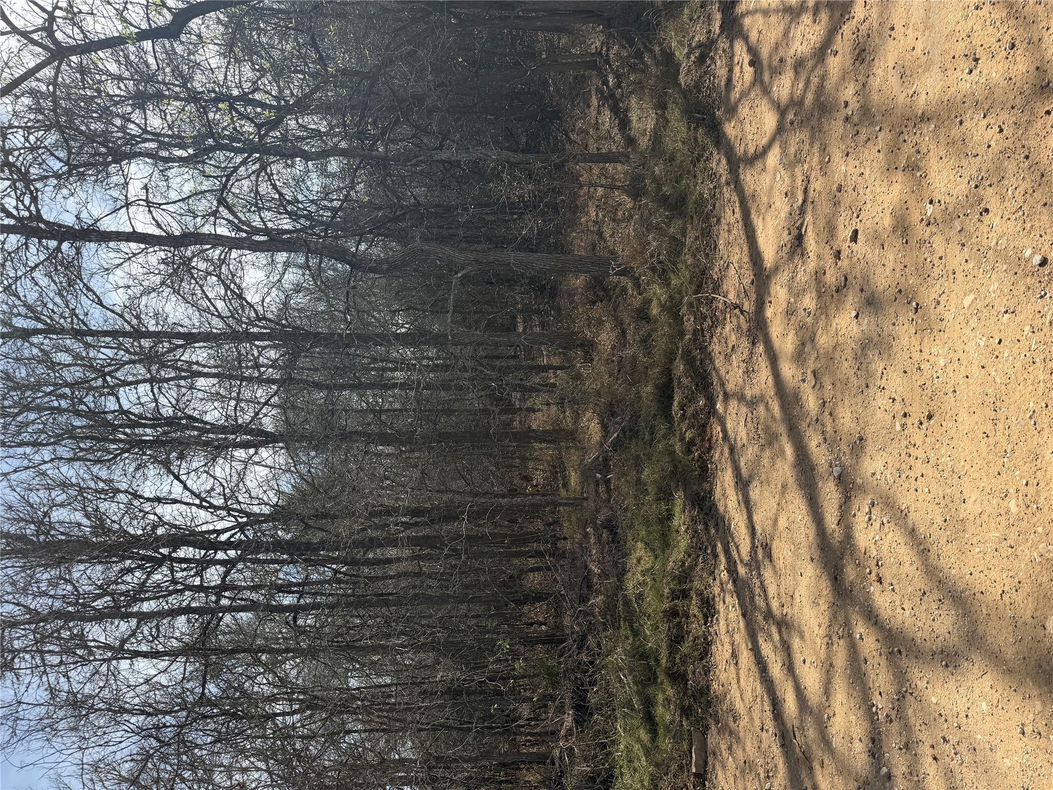 Lots 1006 and 1007 Diamond Head Dr, Bastrop, TX 78602