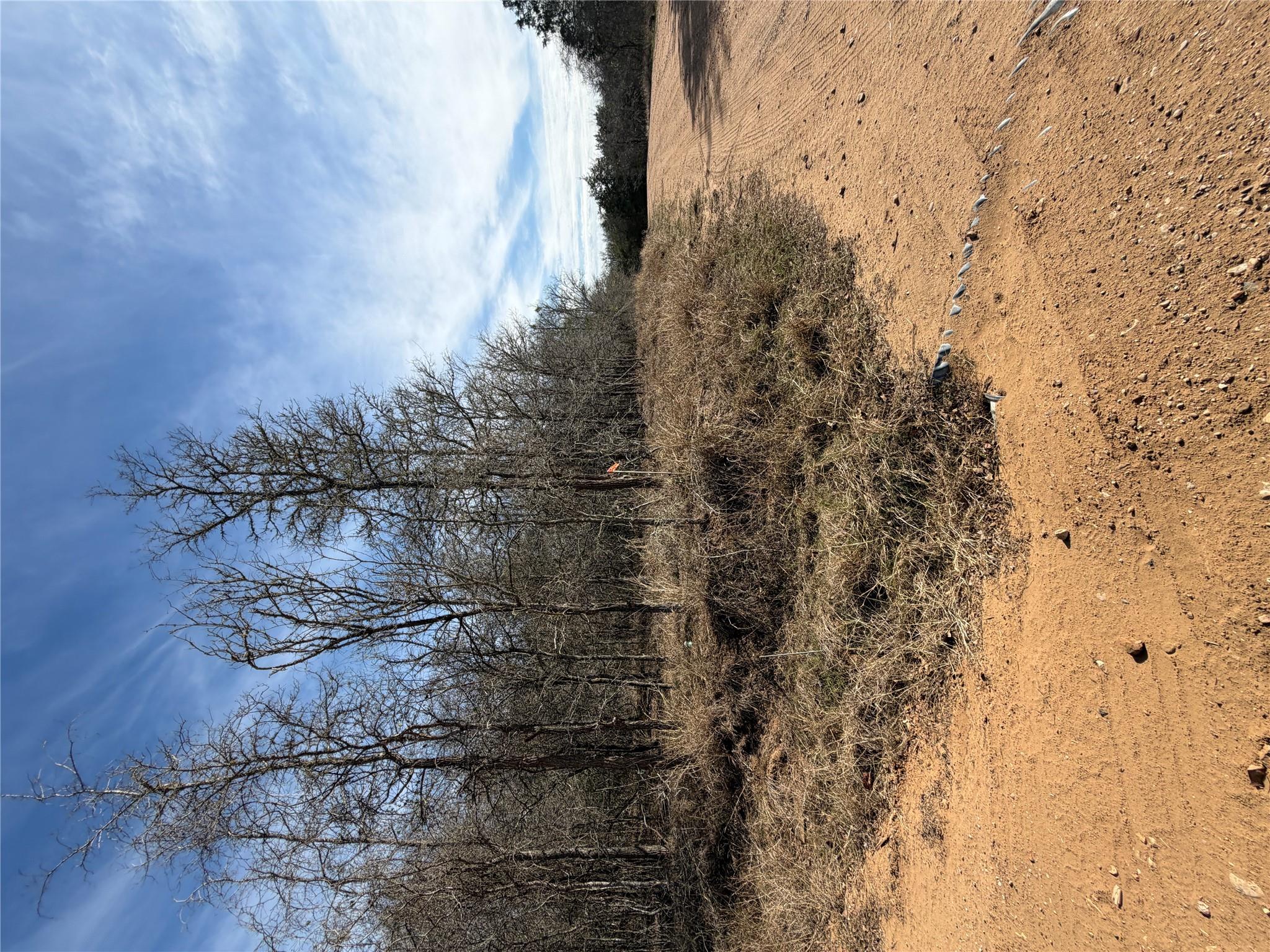 Lots 1006 and 1007 Diamond Head Dr, Bastrop, TX 78602