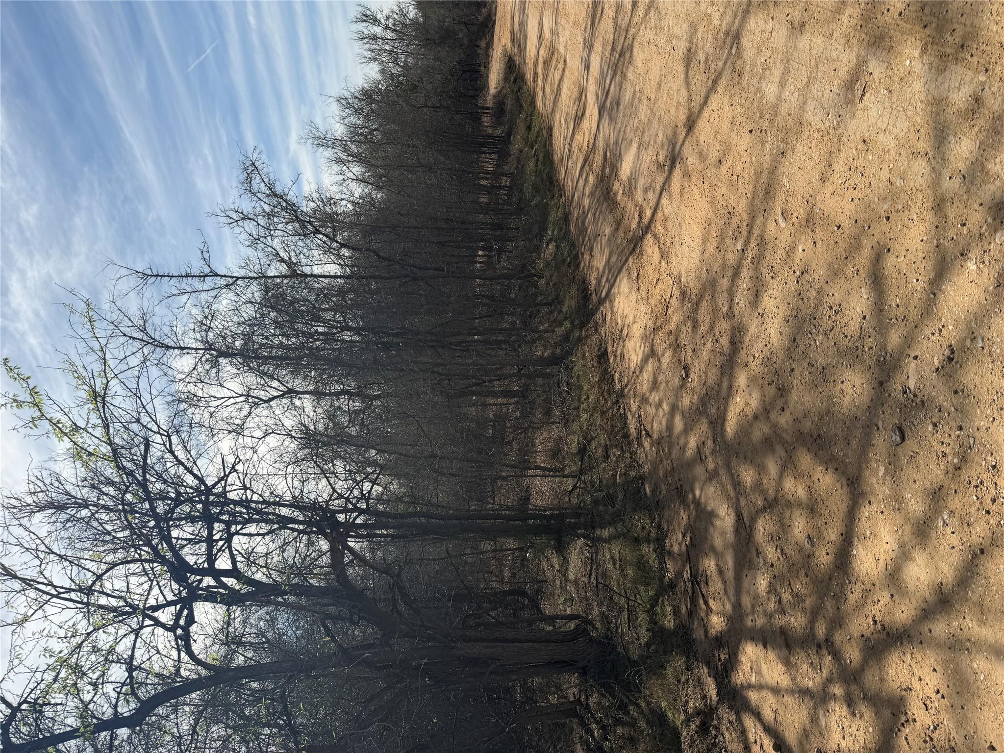 Lots 1006 and 1007 Diamond Head Dr, Bastrop, TX 78602