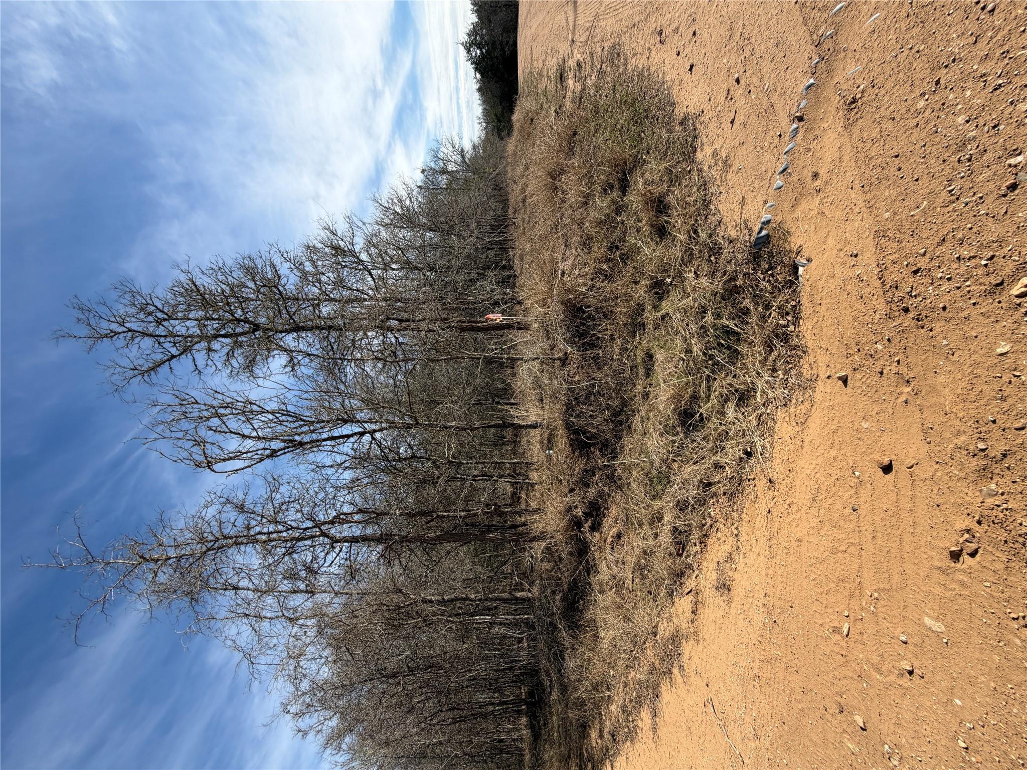 Lots 1006 and 1007 Diamond Head Dr, Bastrop, TX 78602