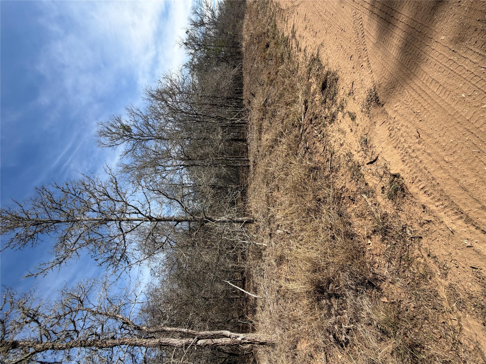 Lots 1006 and 1007 Diamond Head Dr, Bastrop, TX 78602