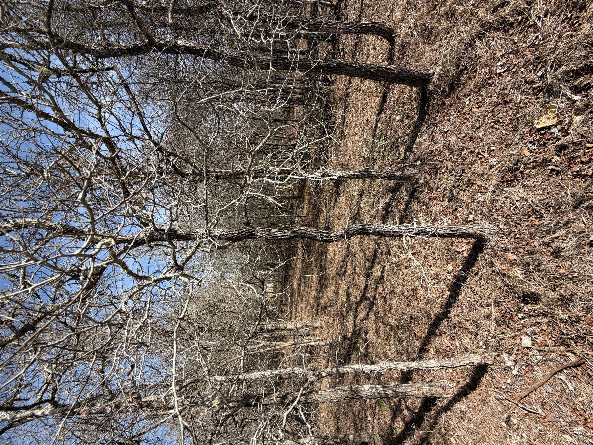 Lots 1006 and 1007 Diamond Head Dr, Bastrop, TX 78602