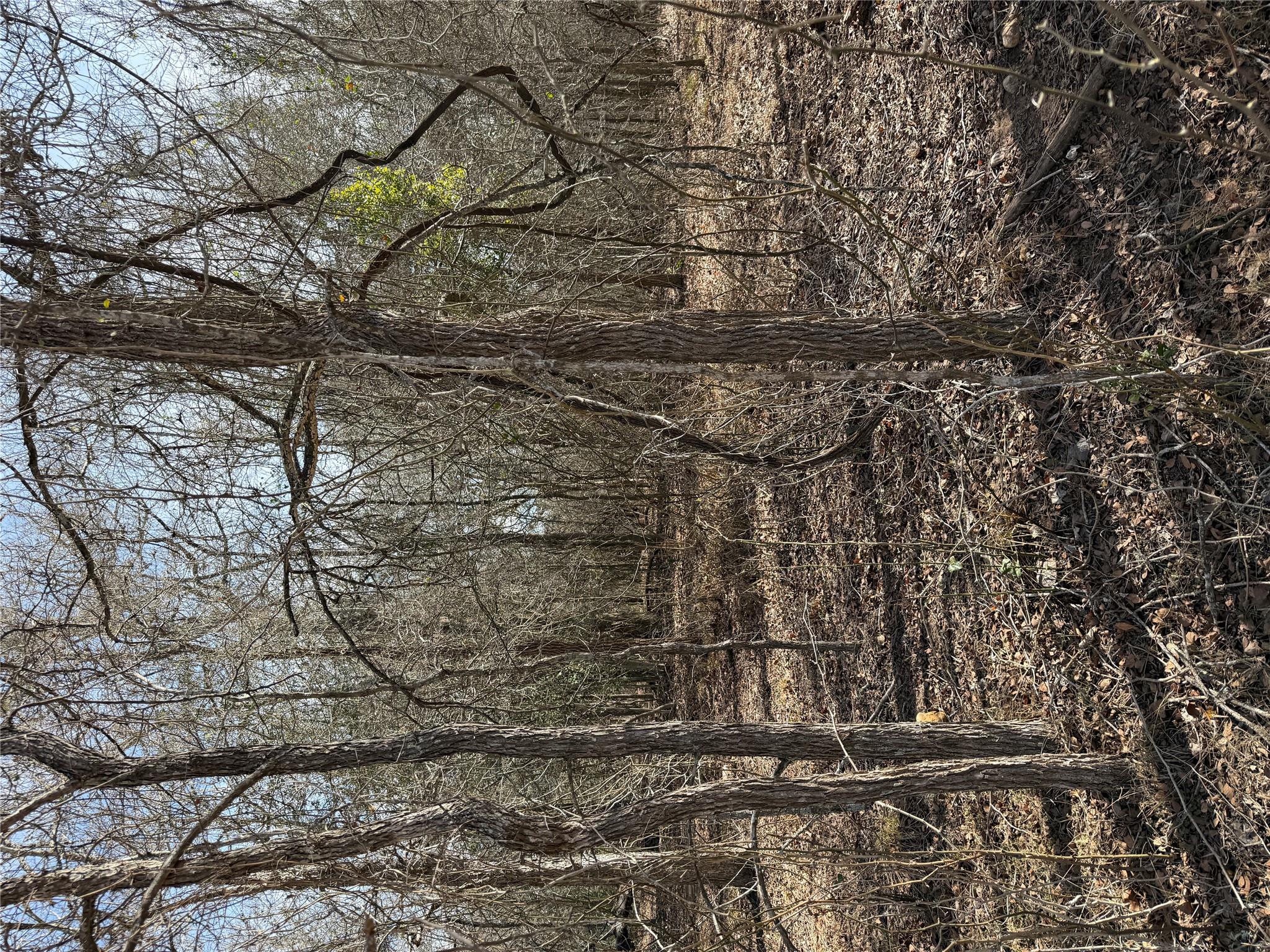 Lots 1006 and 1007 Diamond Head Dr, Bastrop, TX 78602