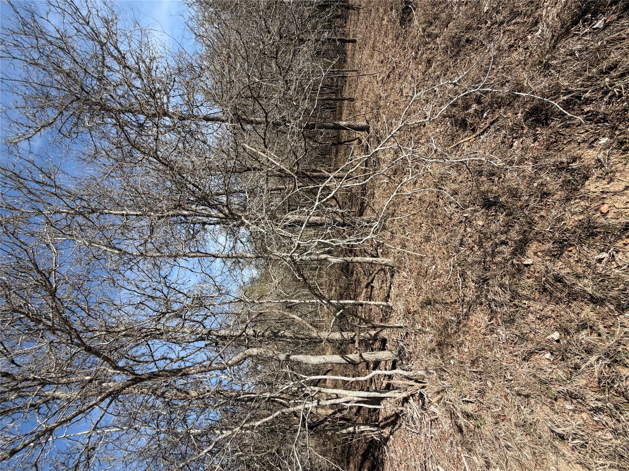 Lots 1006 and 1007 Diamond Head Dr, Bastrop, TX 78602