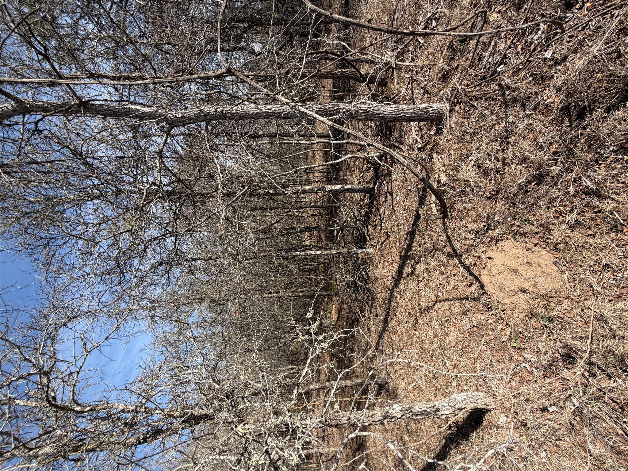 Lots 1006 and 1007 Diamond Head Dr, Bastrop, TX 78602