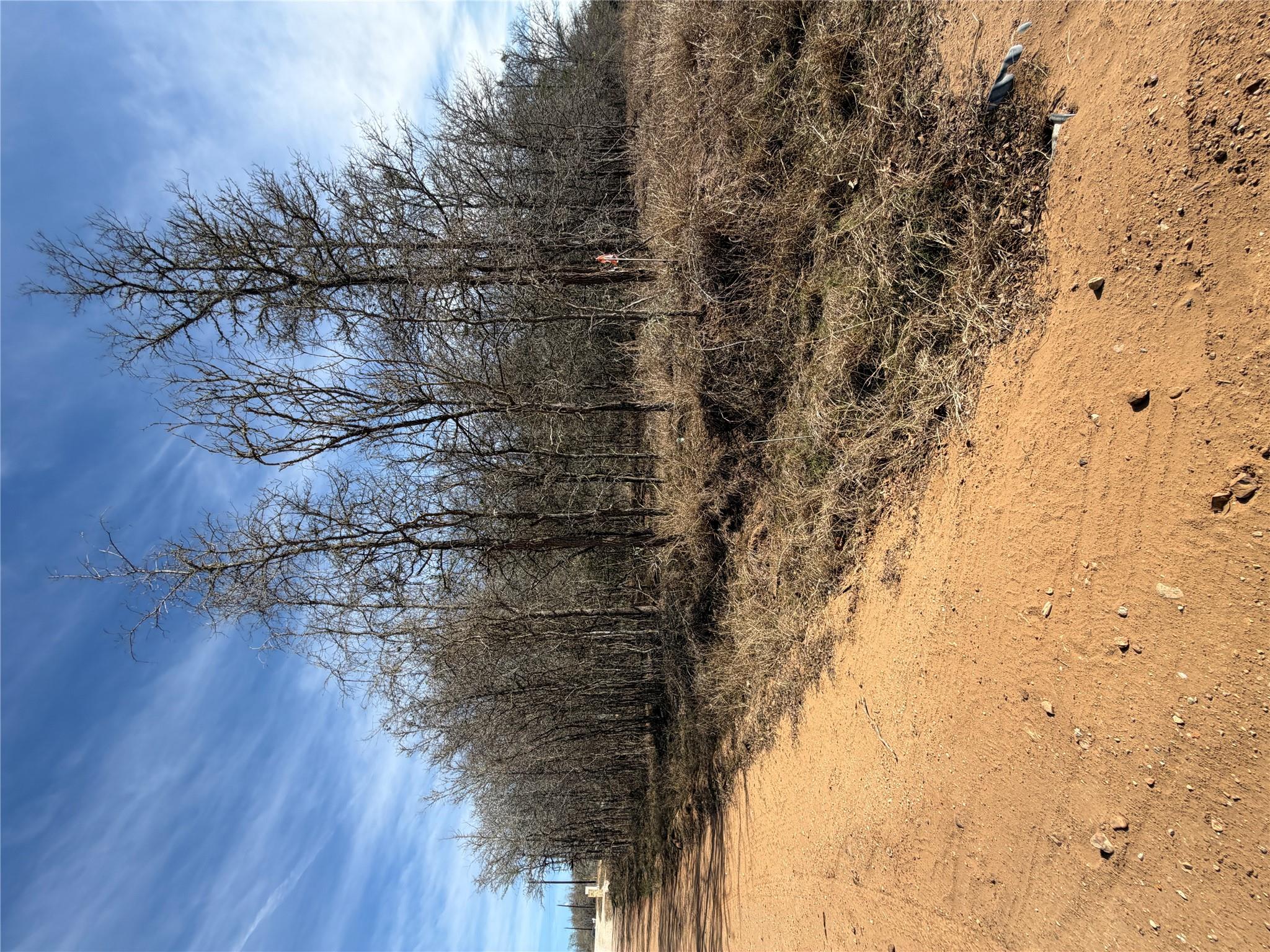 Lots 1006 and 1007 Diamond Head Dr, Bastrop, TX 78602