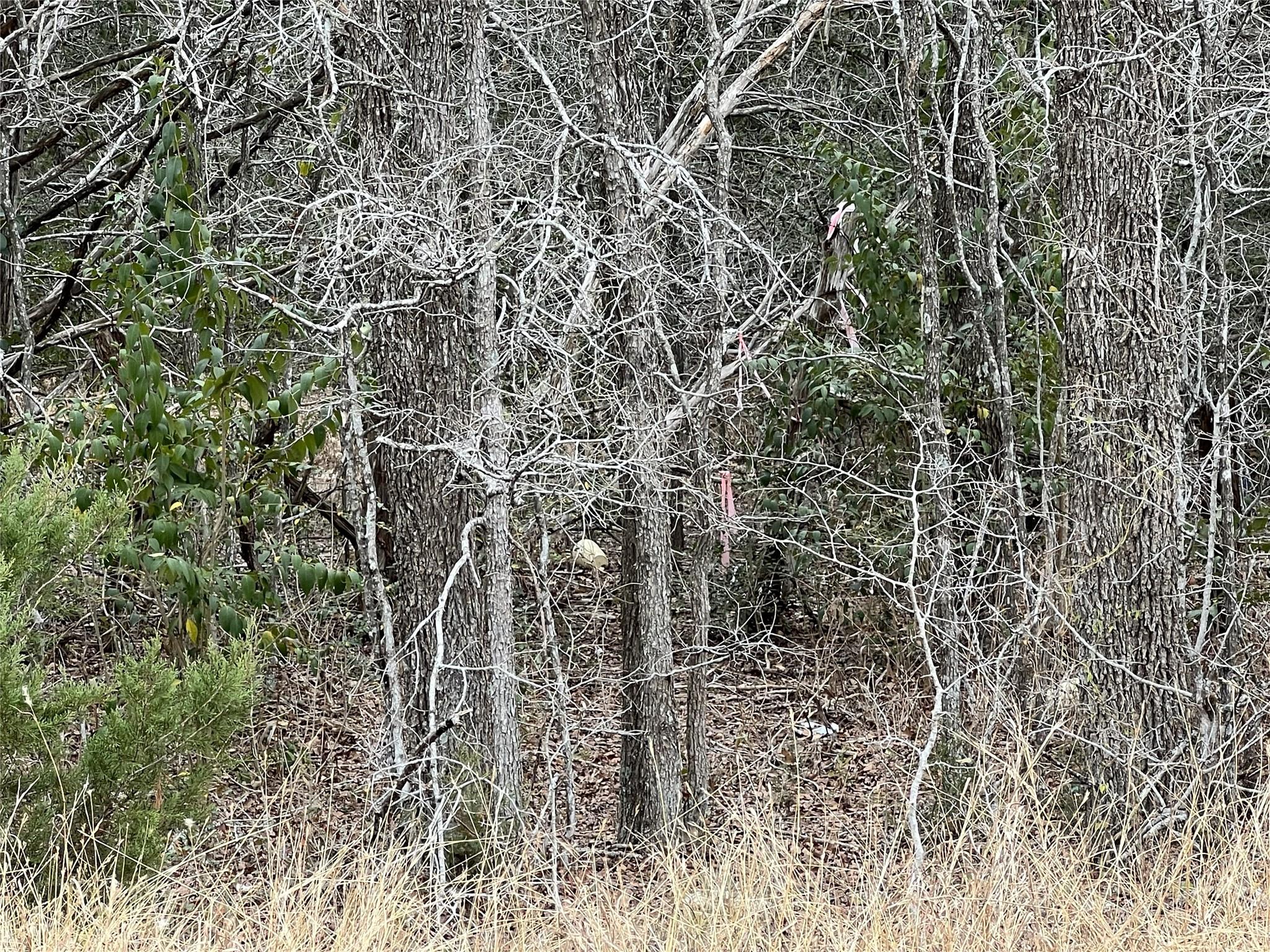 00 B J Mayes Dr, Bastrop, TX 78602