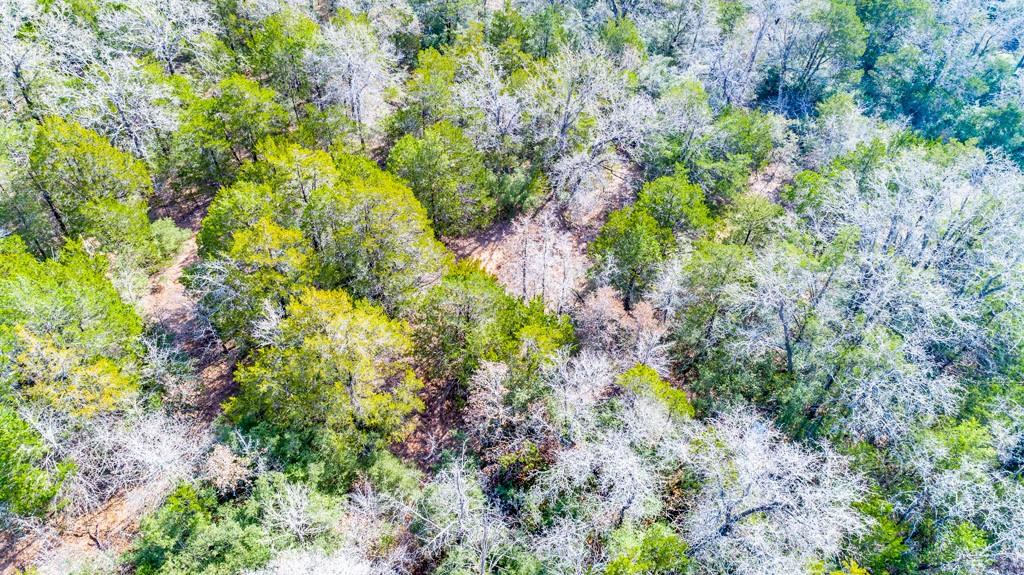 00 B J Mayes Dr, Bastrop, TX 78602