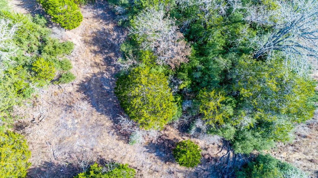 00 B J Mayes Dr, Bastrop, TX 78602