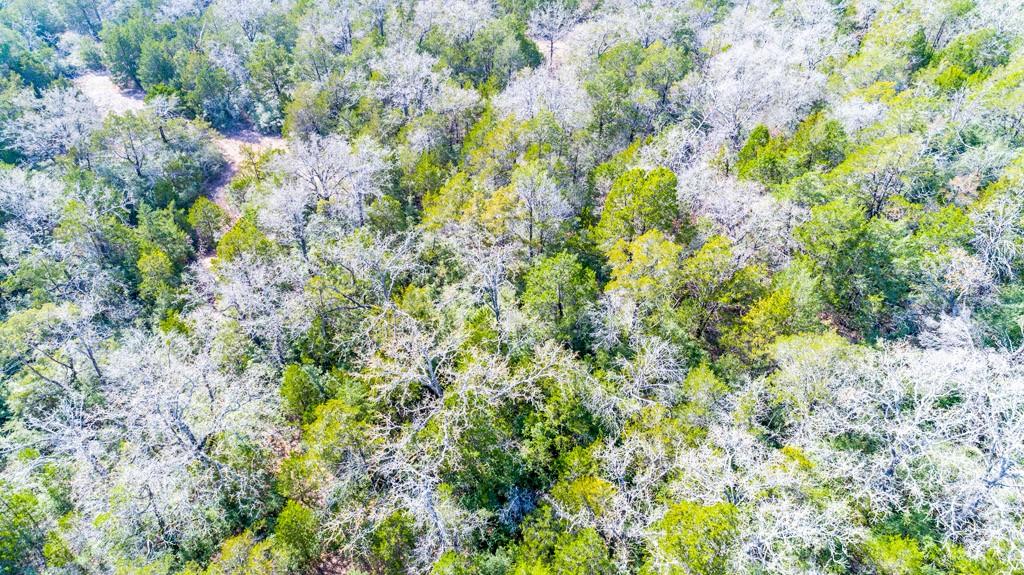 00 B J Mayes Dr, Bastrop, TX 78602