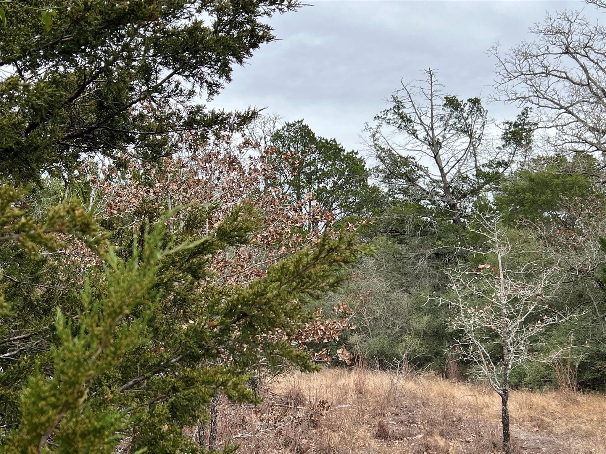 00 B J Mayes Dr, Bastrop, TX 78602