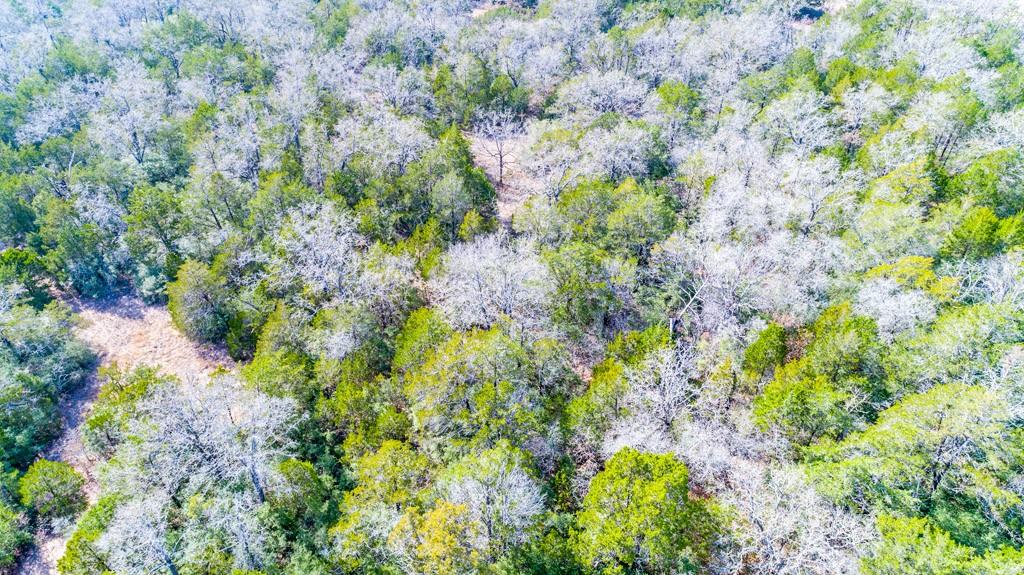 00 B J Mayes Dr, Bastrop, TX 78602