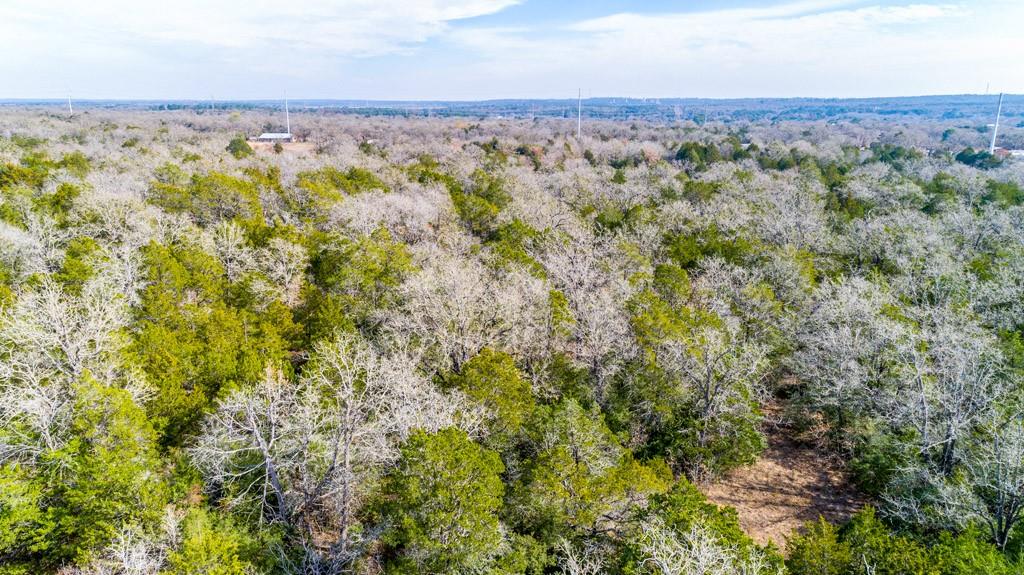 00 B J Mayes Dr, Bastrop, TX 78602