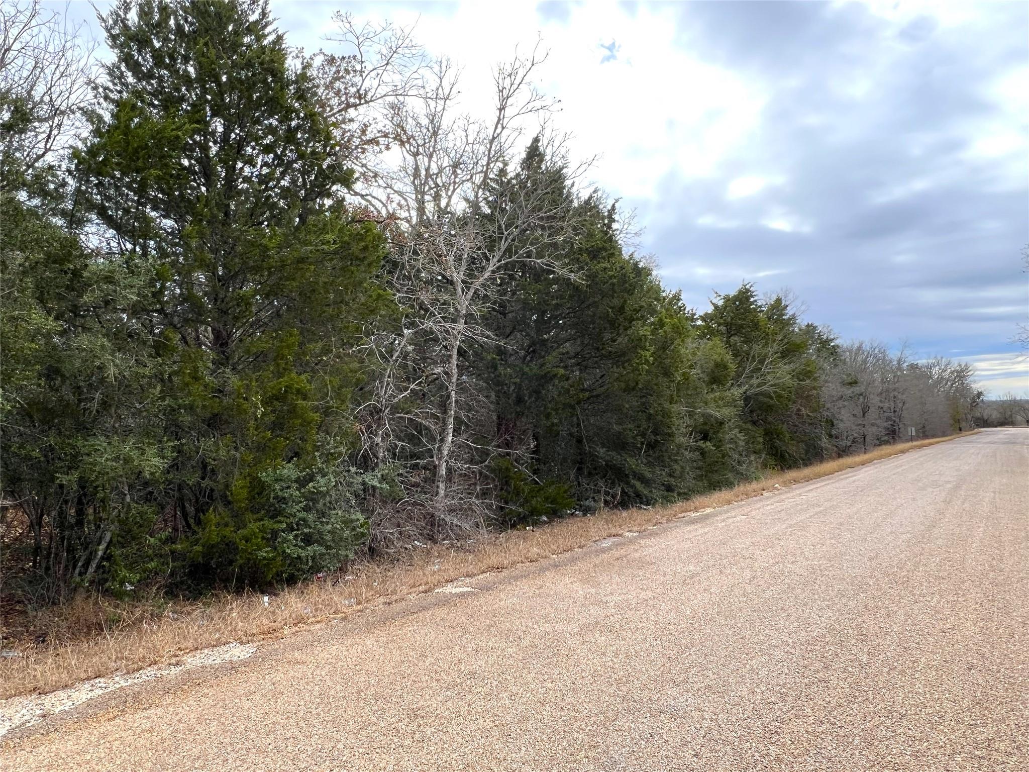 00 B J Mayes Dr, Bastrop, TX 78602