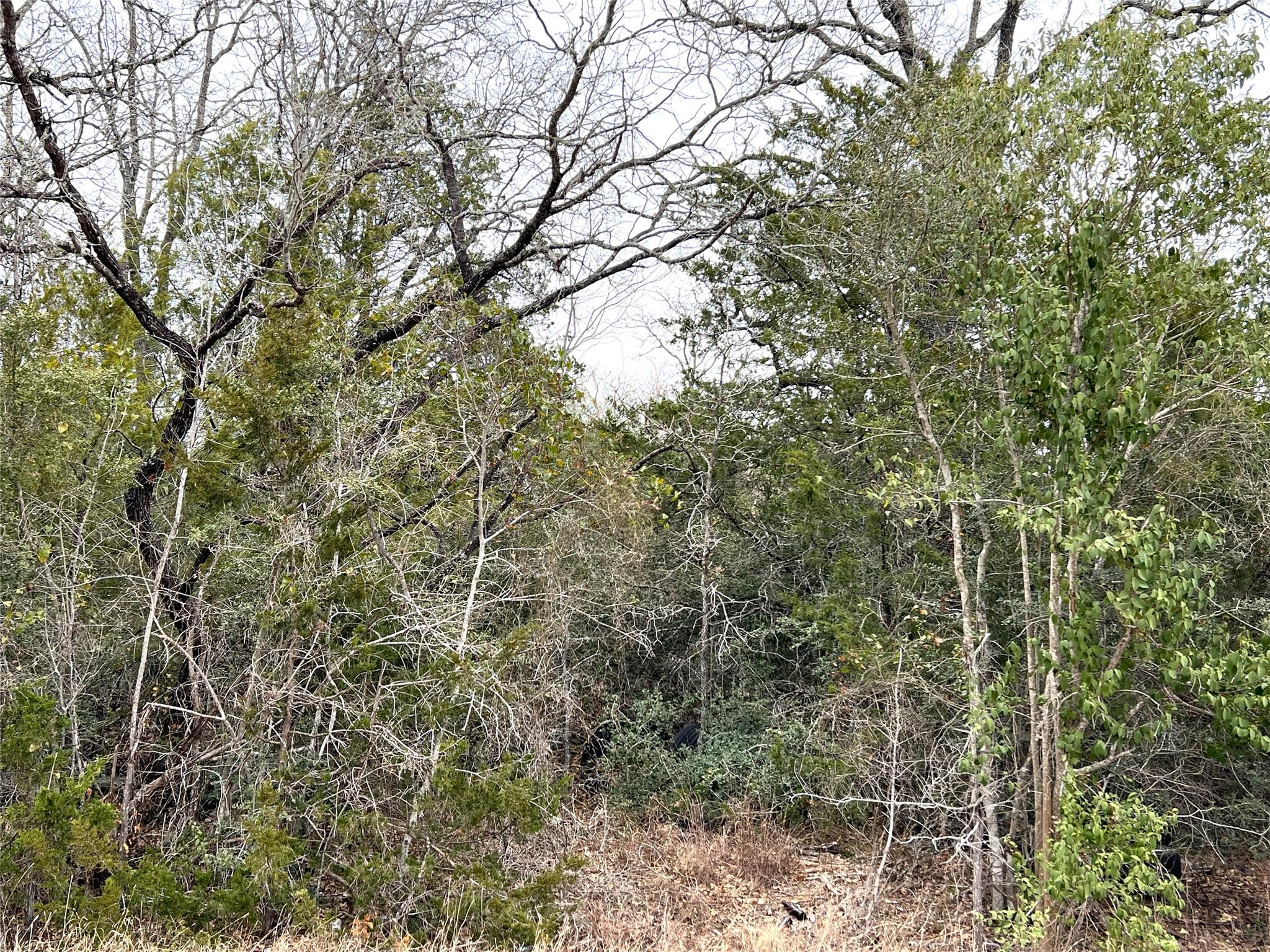 00 B J Mayes Dr, Bastrop, TX 78602