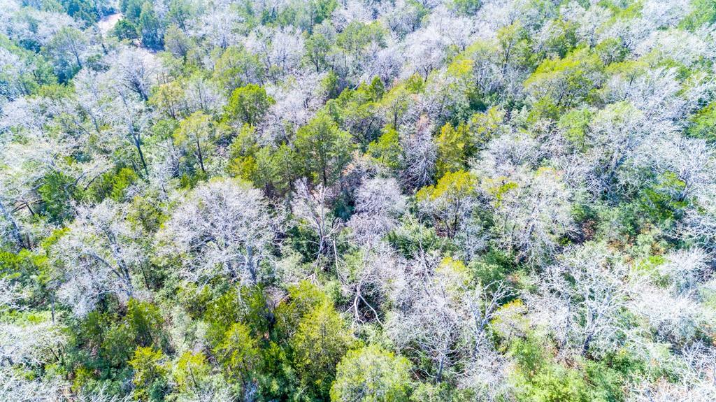 00 B J Mayes Dr, Bastrop, TX 78602