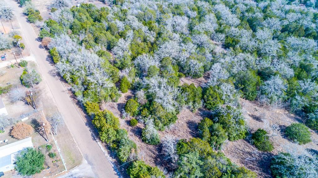 00 B J Mayes Dr, Bastrop, TX 78602