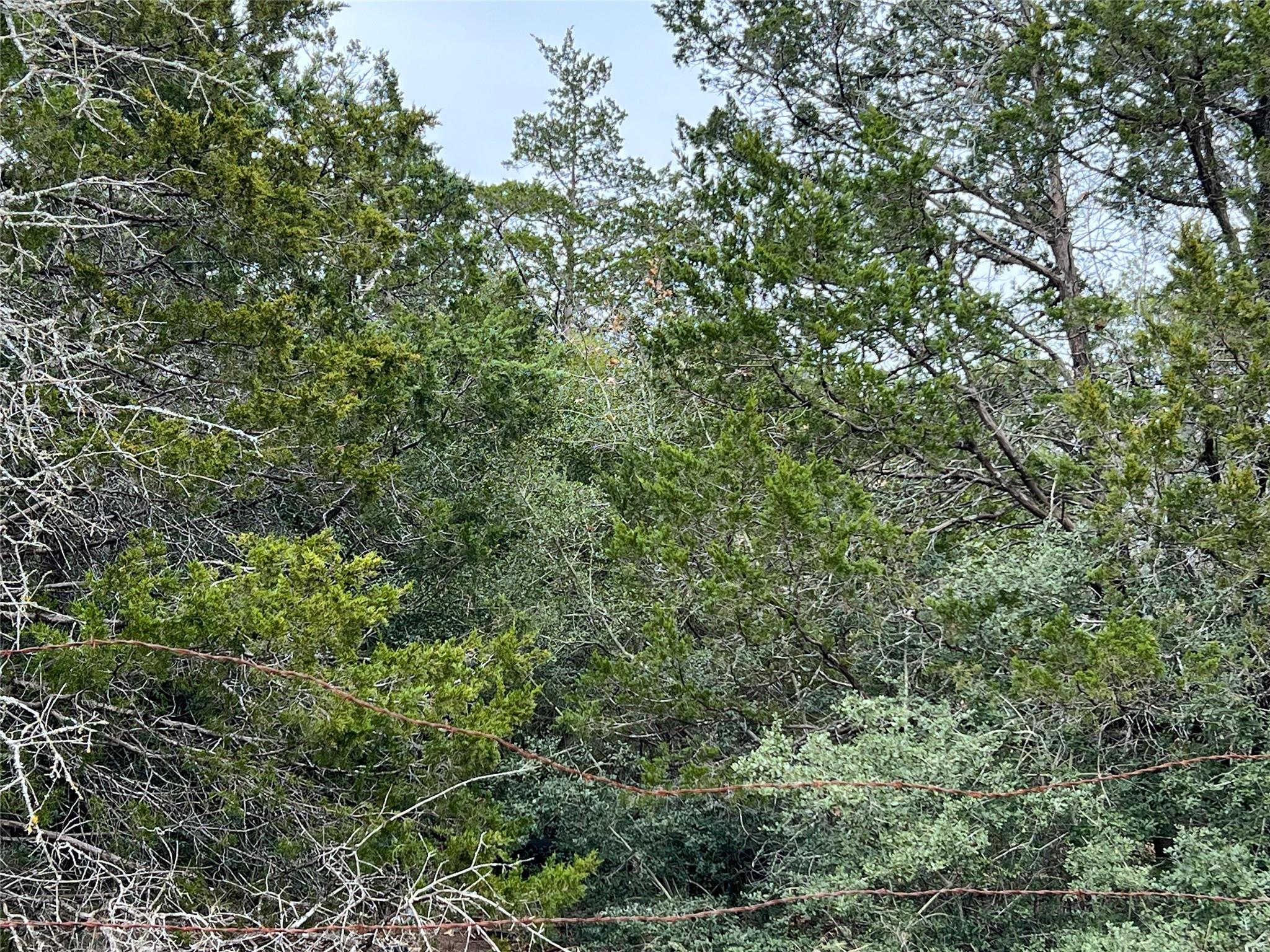 00 B J Mayes Dr, Bastrop, TX 78602