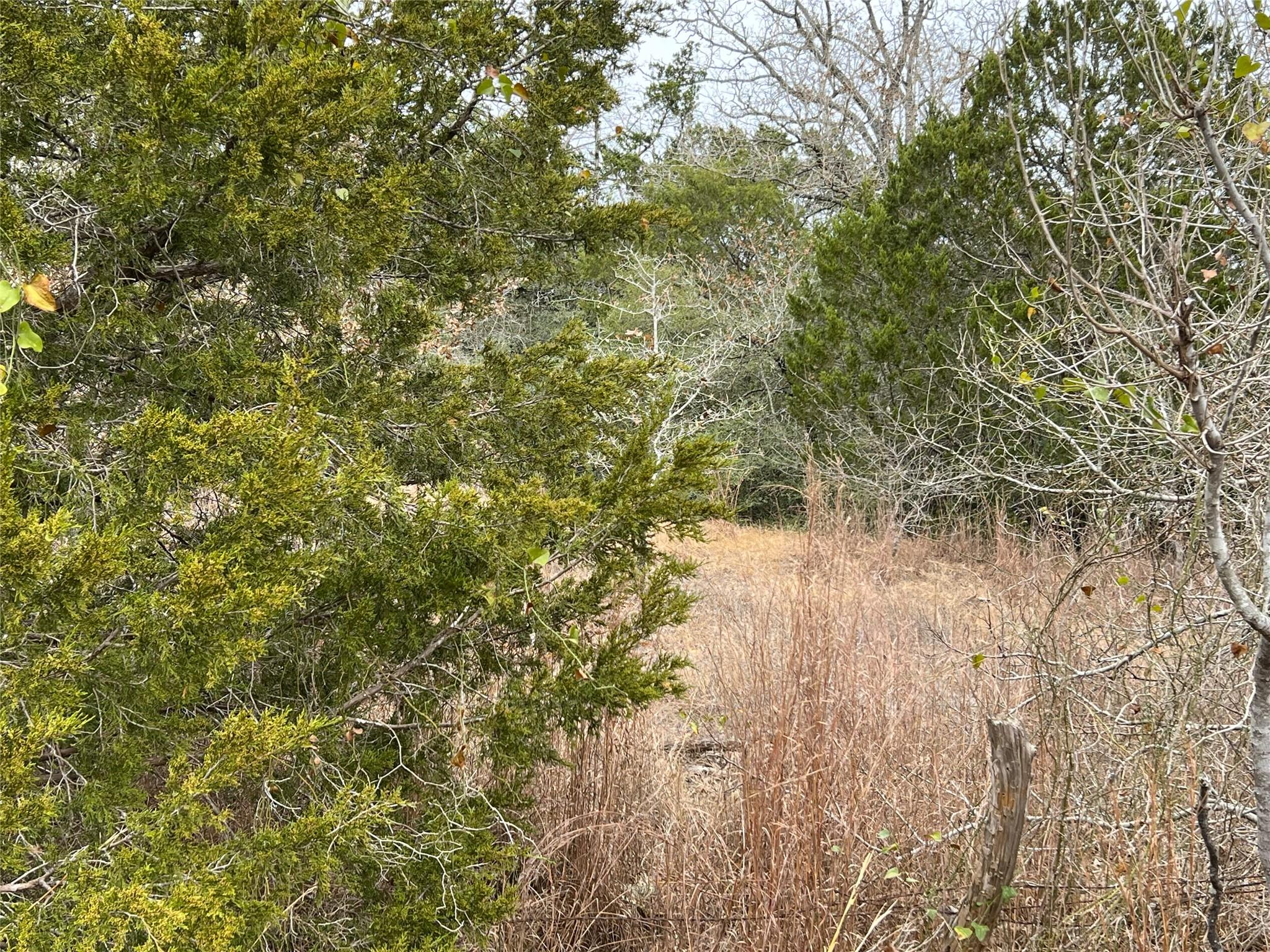 00 B J Mayes Dr, Bastrop, TX 78602