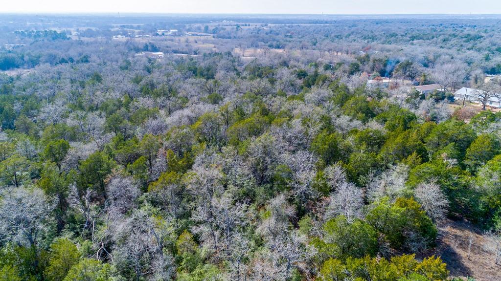 00 B J Mayes Dr, Bastrop, TX 78602