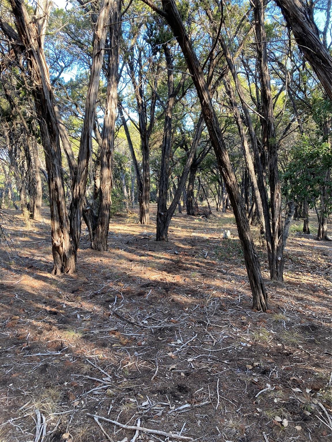 1400 Lisa Dr, Austin, TX 78733