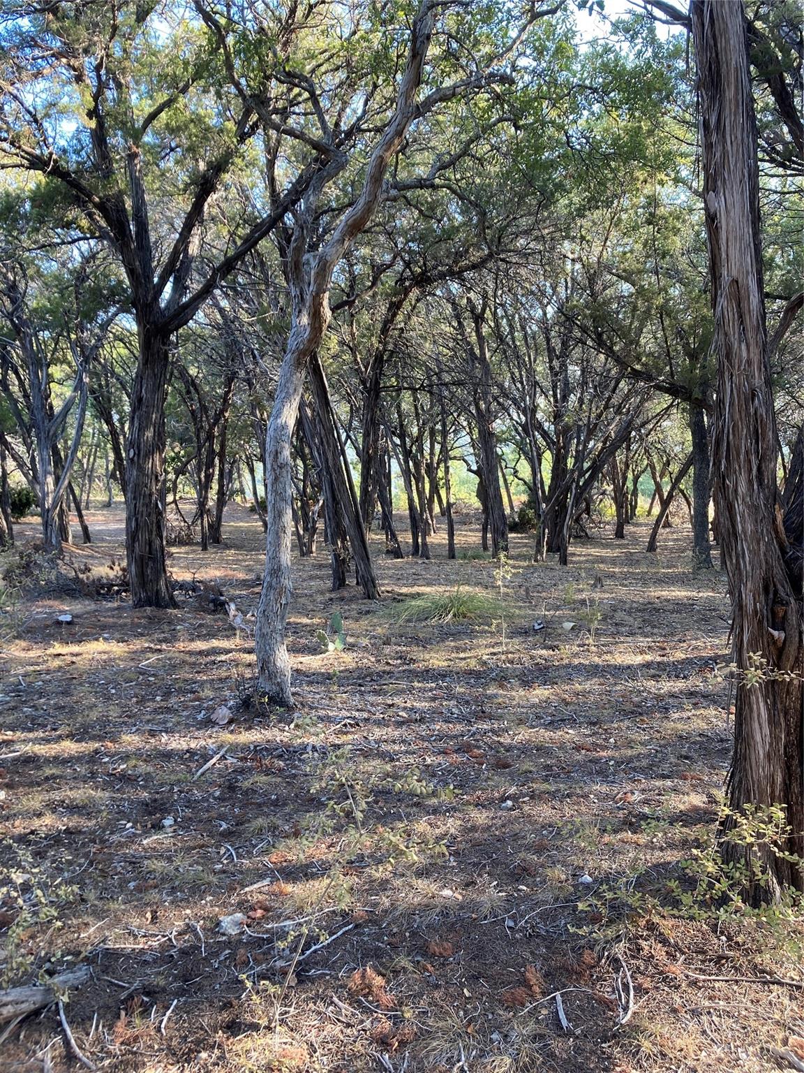 1400 Lisa Dr, Austin, TX 78733