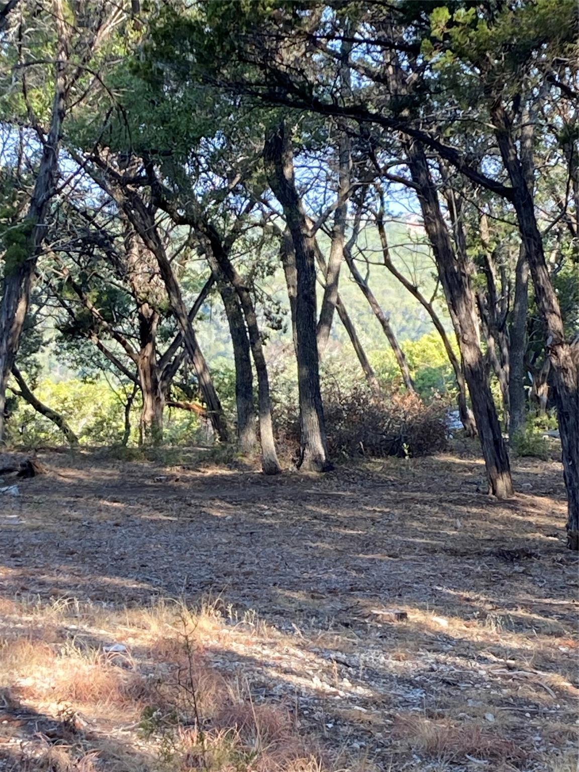 1400 Lisa Dr, Austin, TX 78733