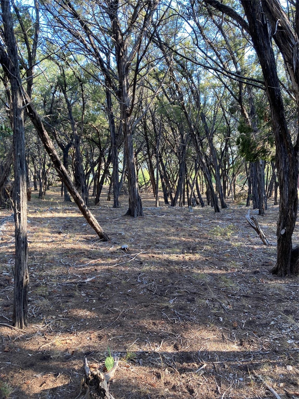 1400 Lisa Dr, Austin, TX 78733