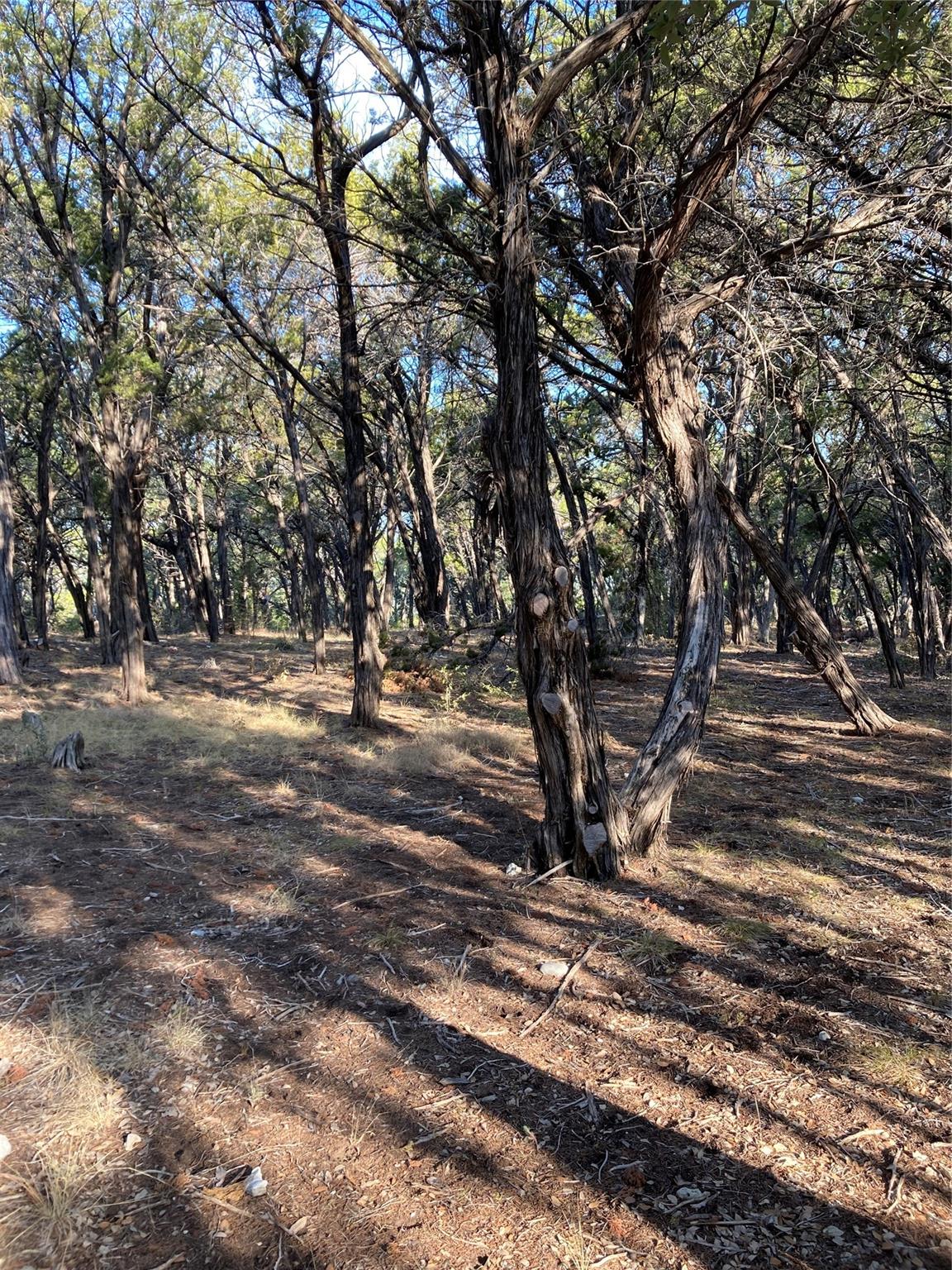 1400 Lisa Dr, Austin, TX 78733