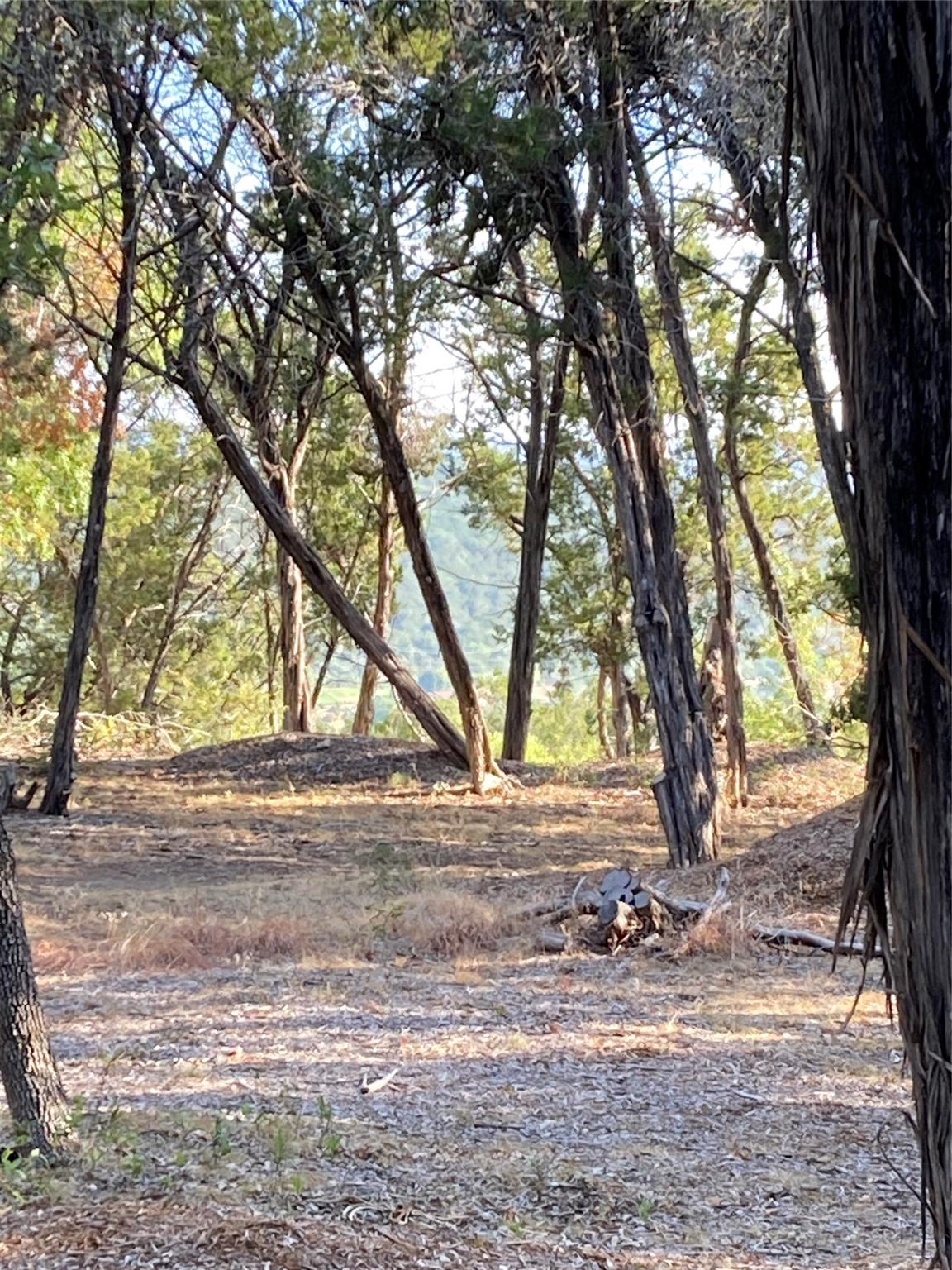 1400 Lisa Dr, Austin, TX 78733