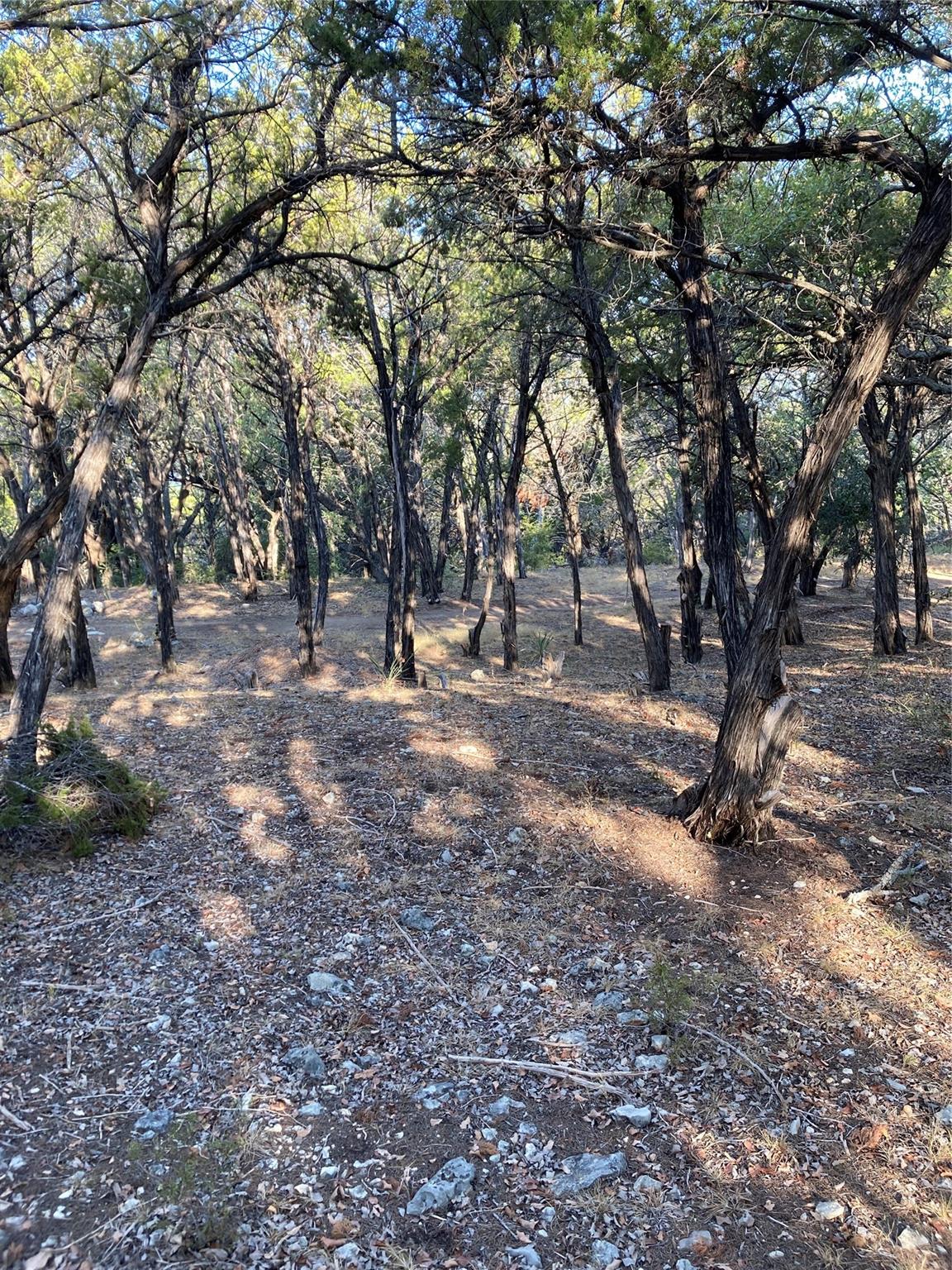 1400 Lisa Dr, Austin, TX 78733