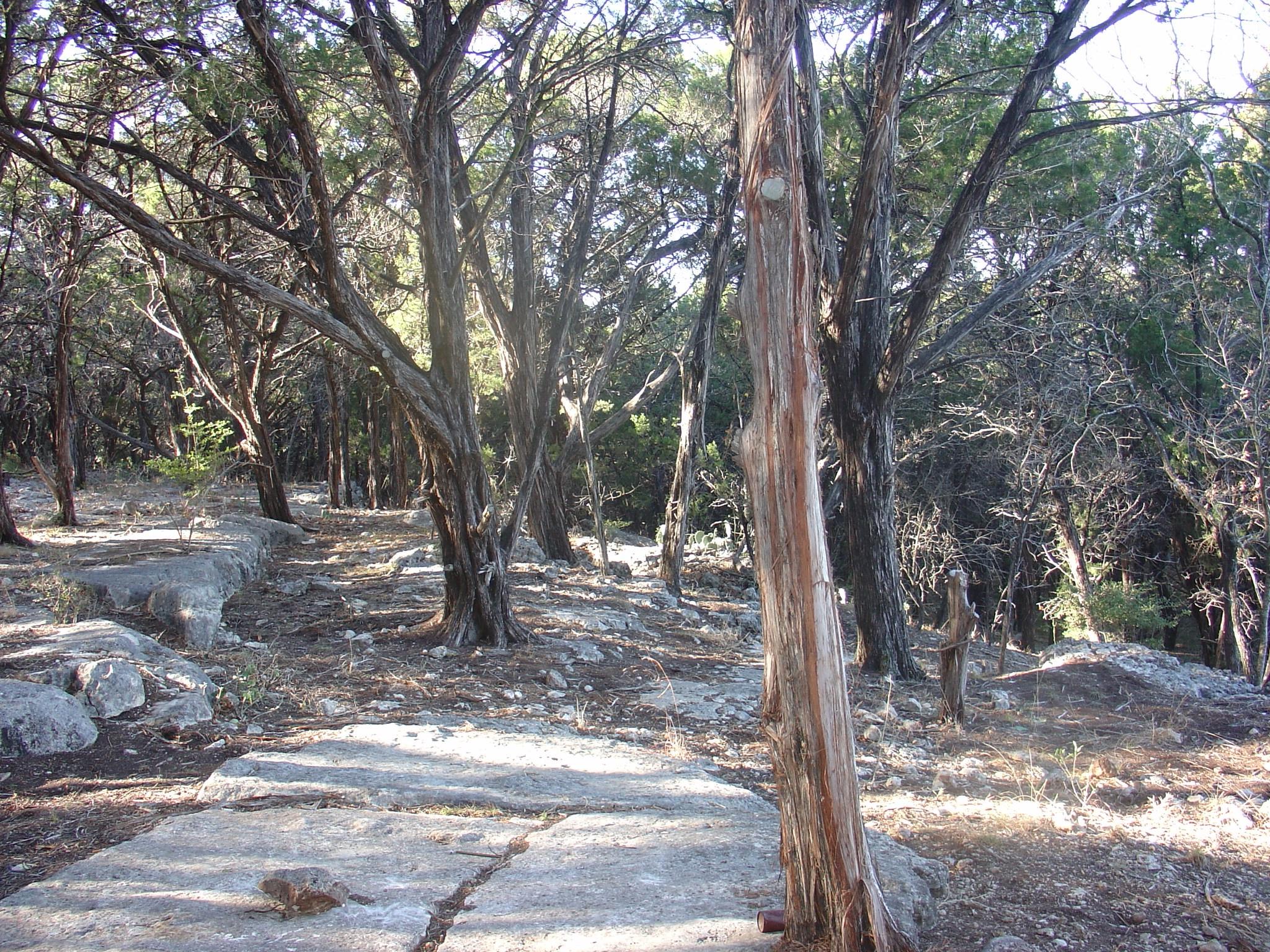 1400 Lisa Dr, Austin, TX 78733