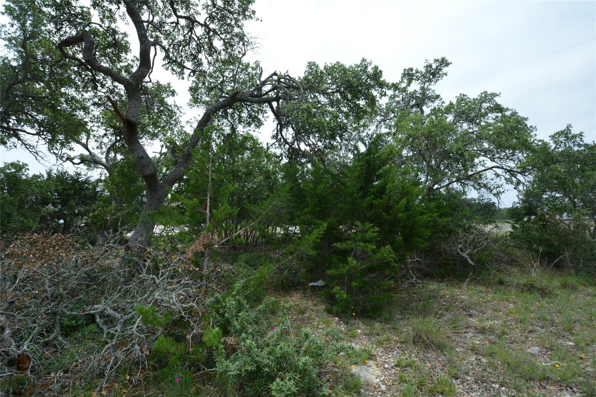 134 W Pat Dolan, Blanco, TX 78606