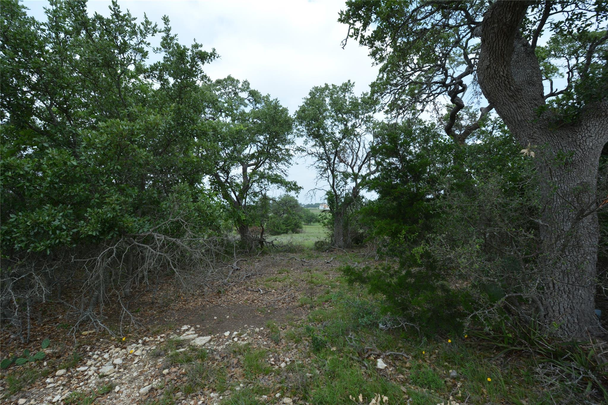 134 W Pat Dolan, Blanco, TX 78606