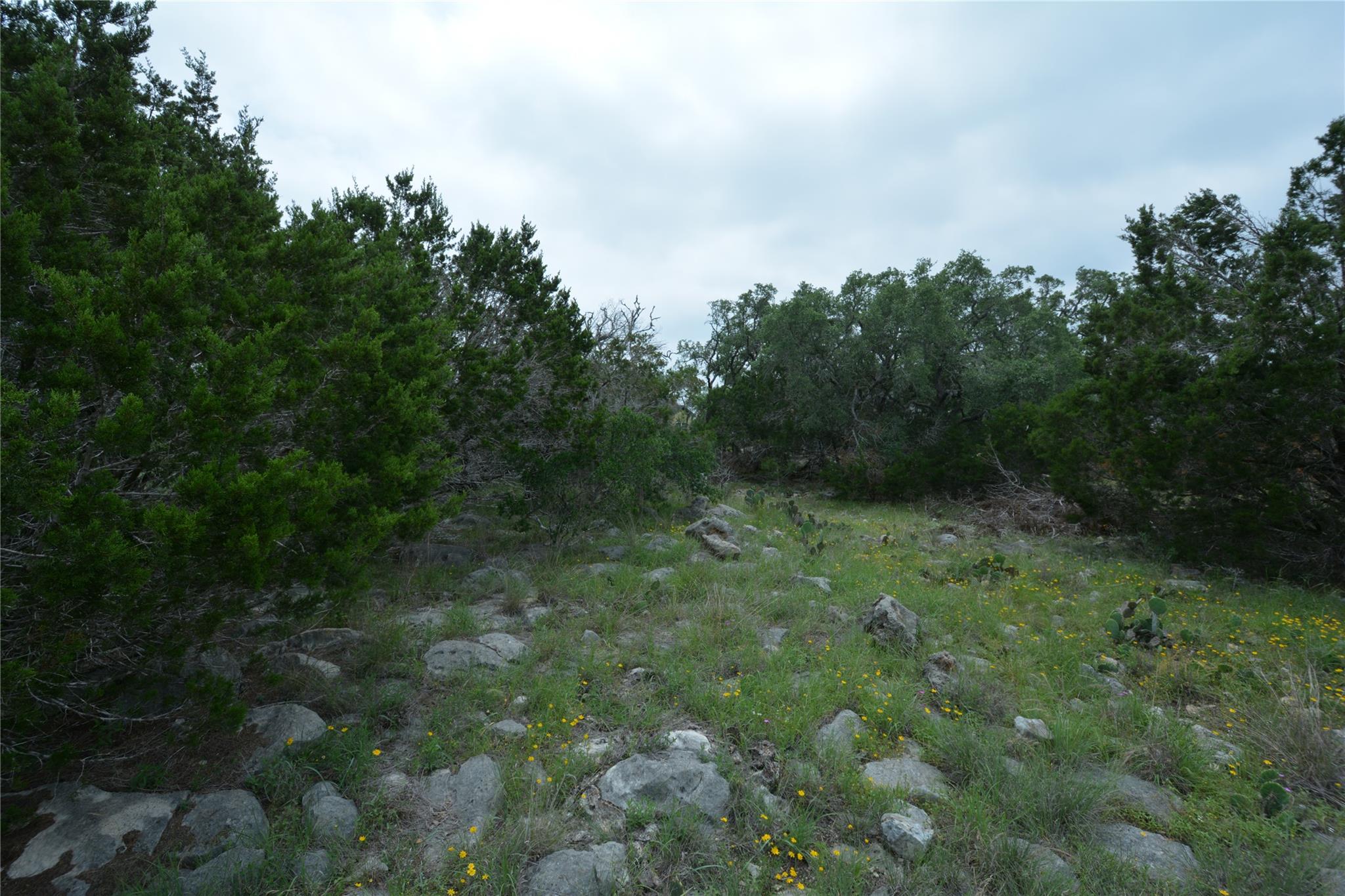 134 E Alex Jordan, Blanco, TX 78606