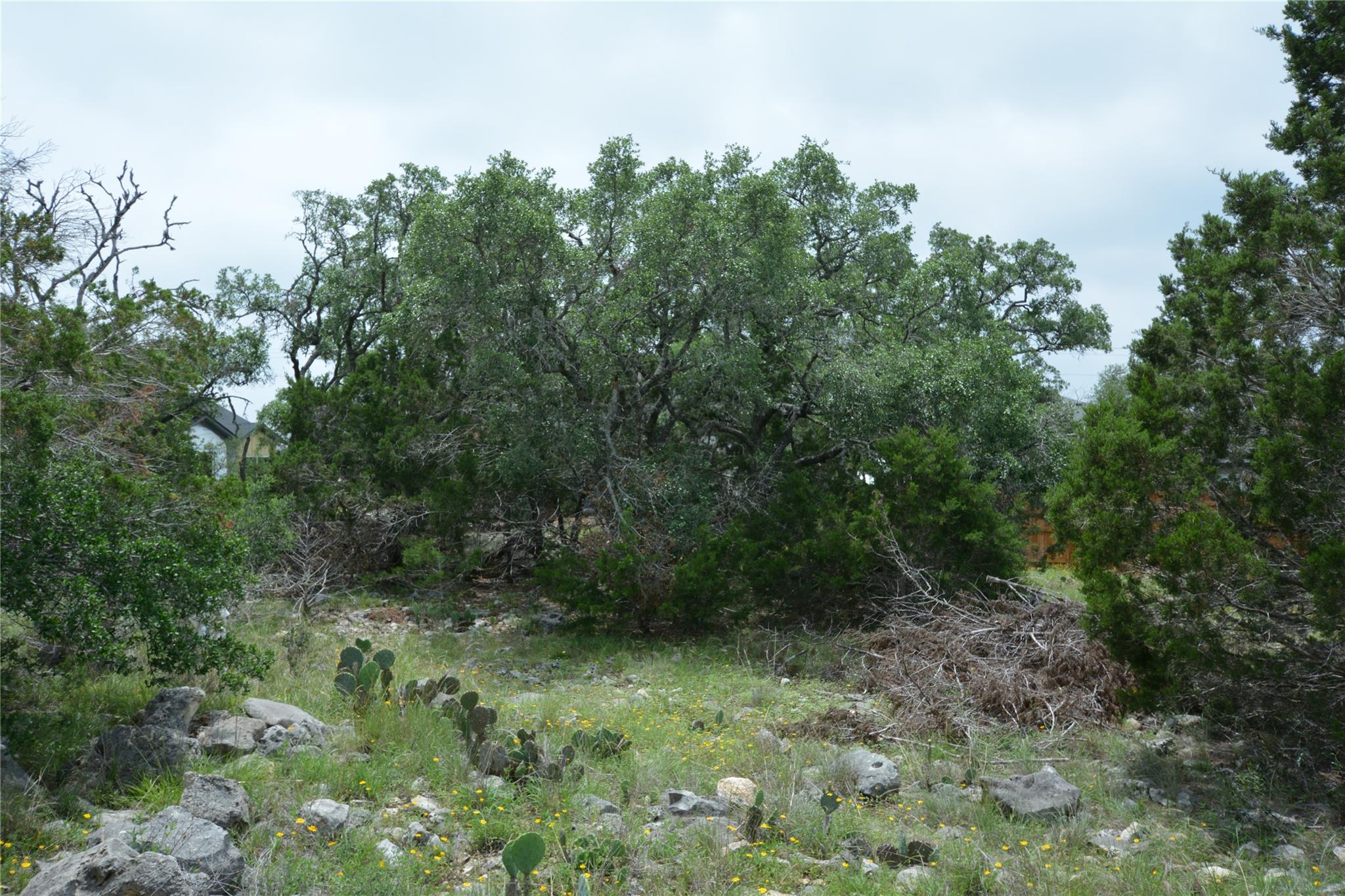 134 E Alex Jordan, Blanco, TX 78606