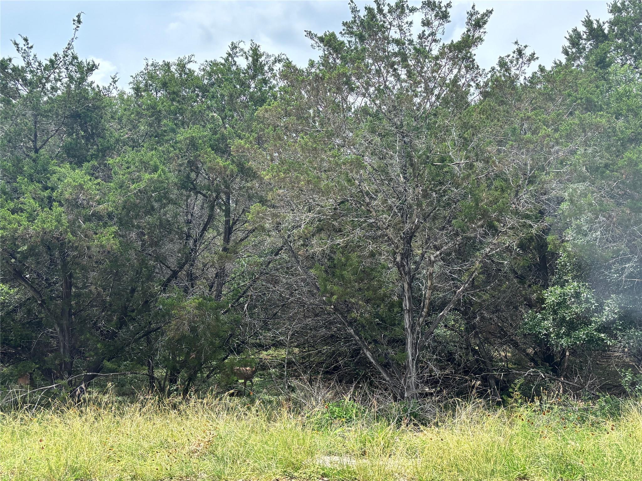 1571 Eastview Dr, Canyon Lake, TX 78133